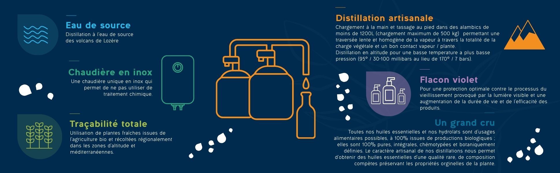 Descriptive Alt Text