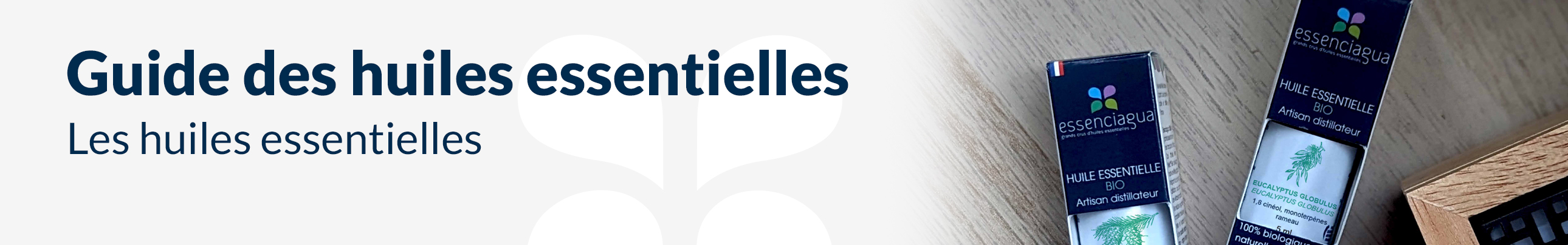 Le guide des huiles essentielles