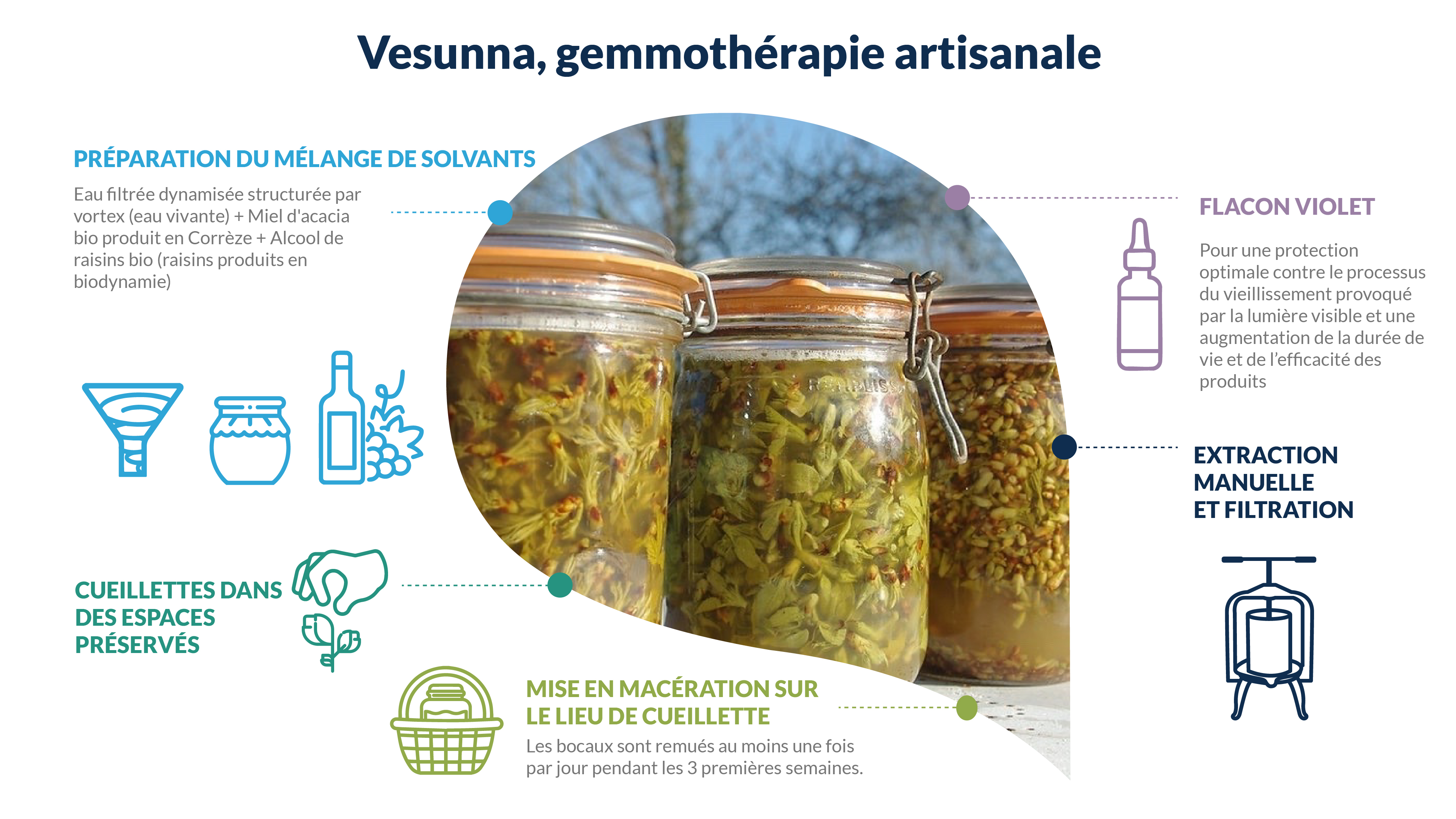 Descriptive Alt Text