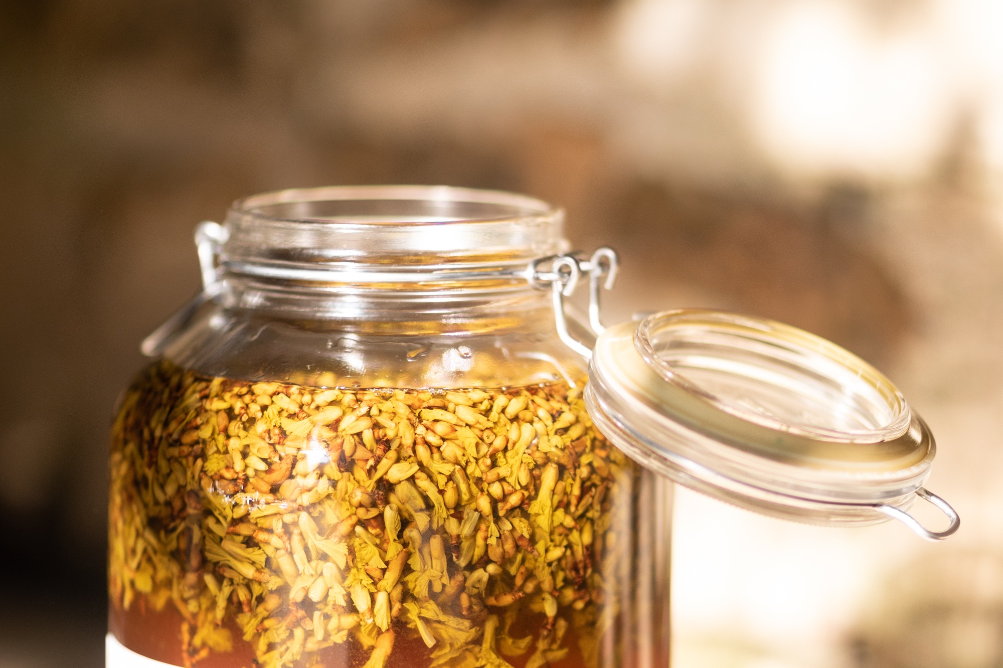 Discover Gemmotherapy