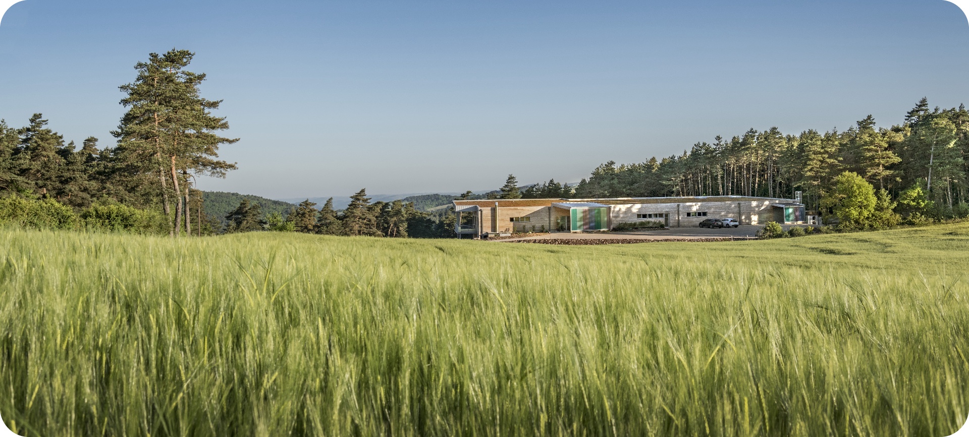 L'Histoire D'Essenciagua