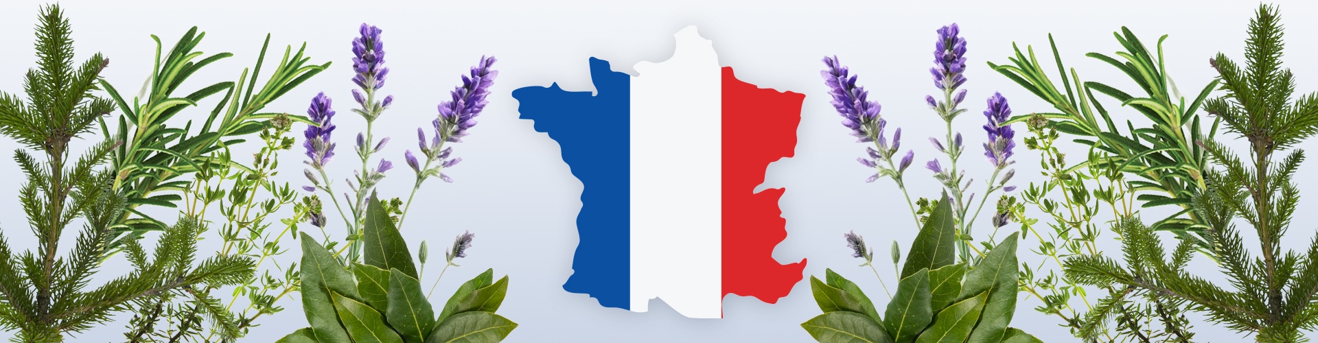 Un'alternativa locale a ravintsara