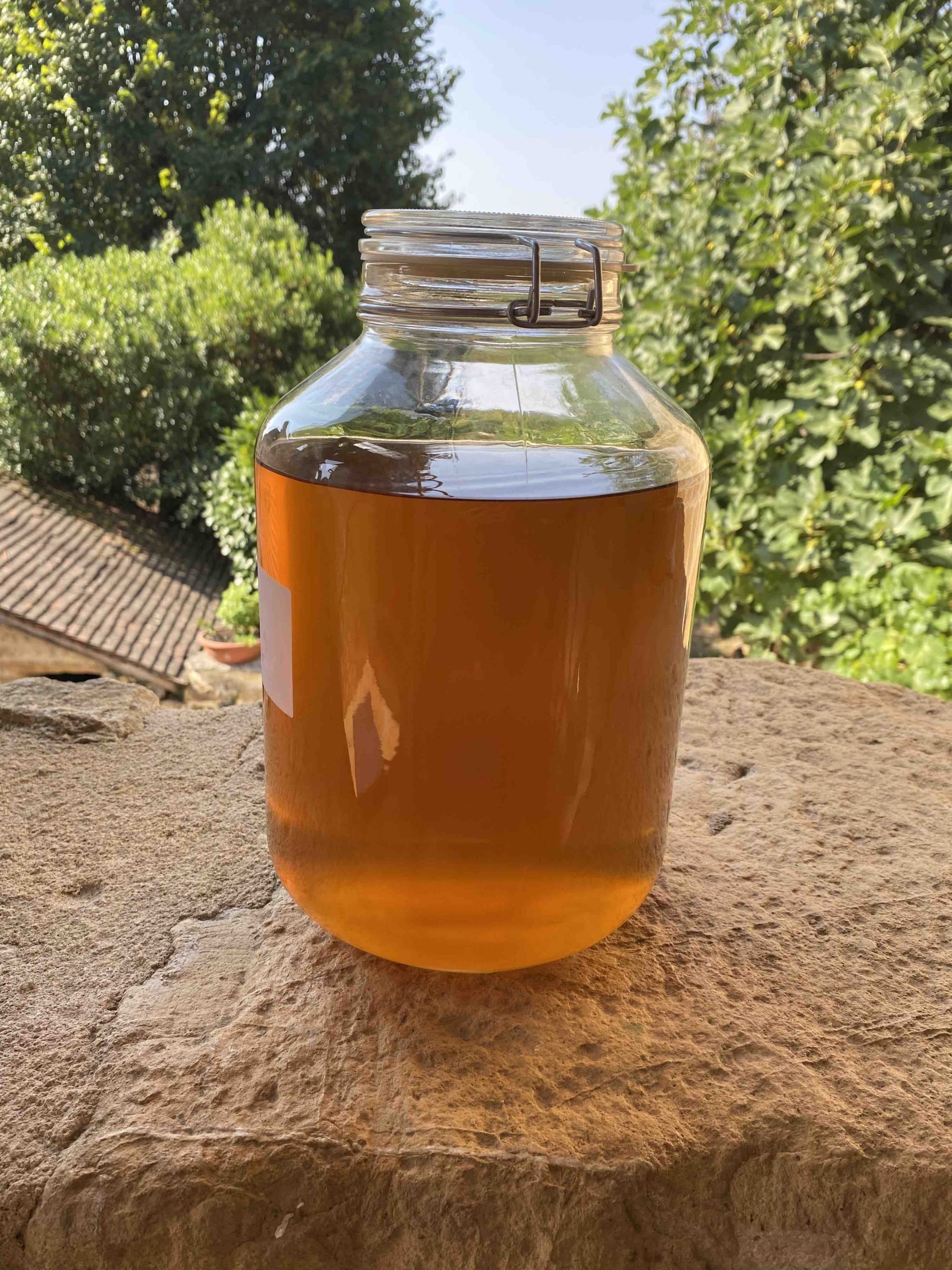 La différence Essenciagua-Vesunna