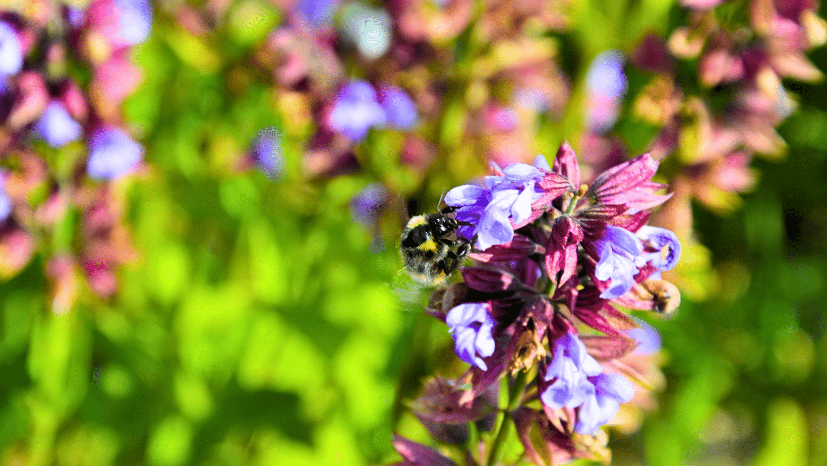 Produzione eco-responsabile