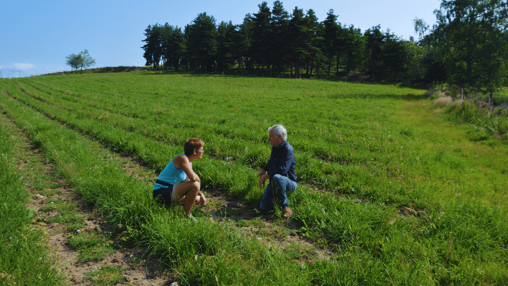 The secrets of an Essenciagua grand cru