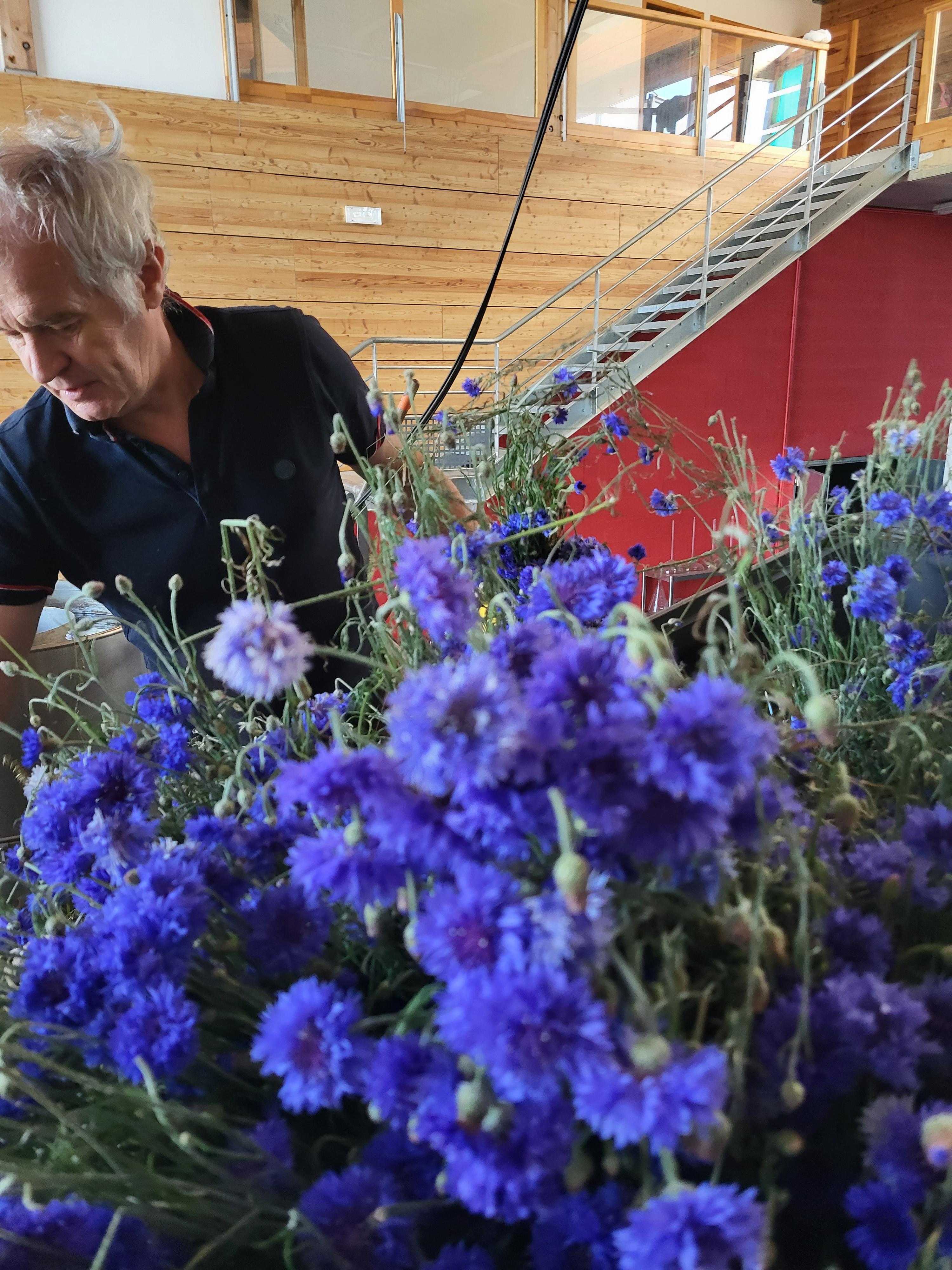 Decouvrez la distillation Idrolato di fiordaliso 100% biologico e artigianale