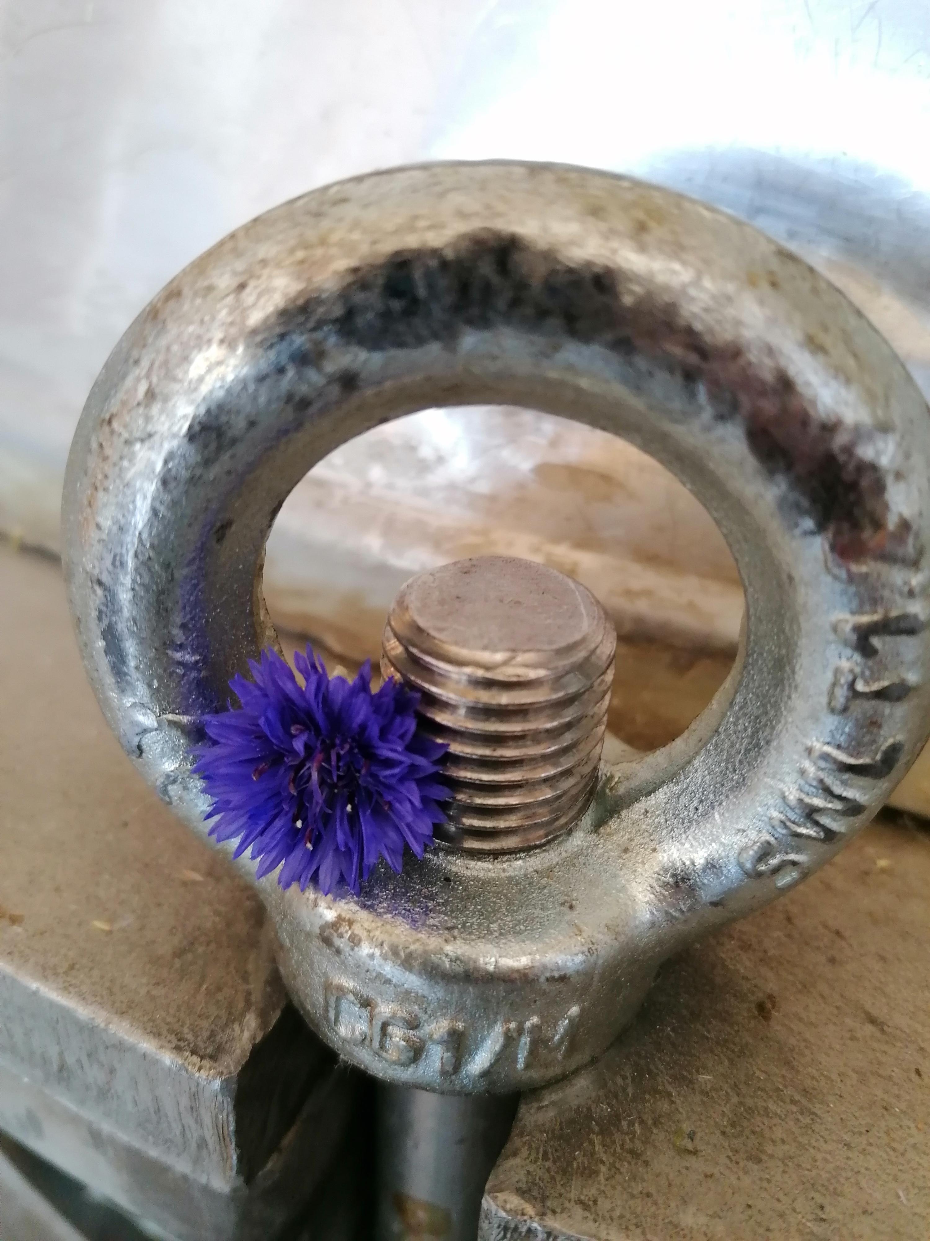 Decouvrez la distillation Idrolato di fiordaliso 100% biologico e artigianale