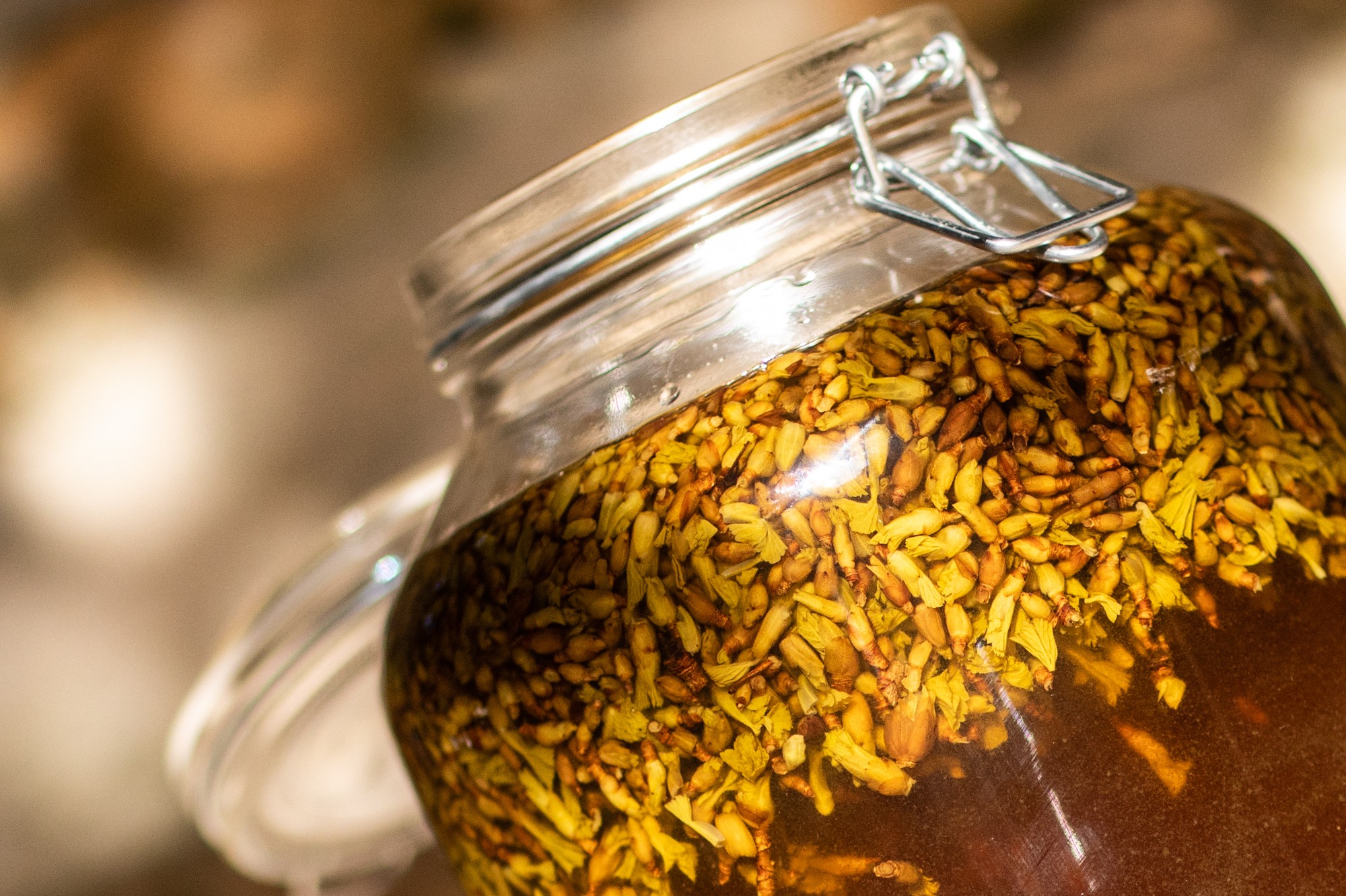 Decouvrez la distillation Macerado de yemas de grosella negra 100% ecológico y artesanal