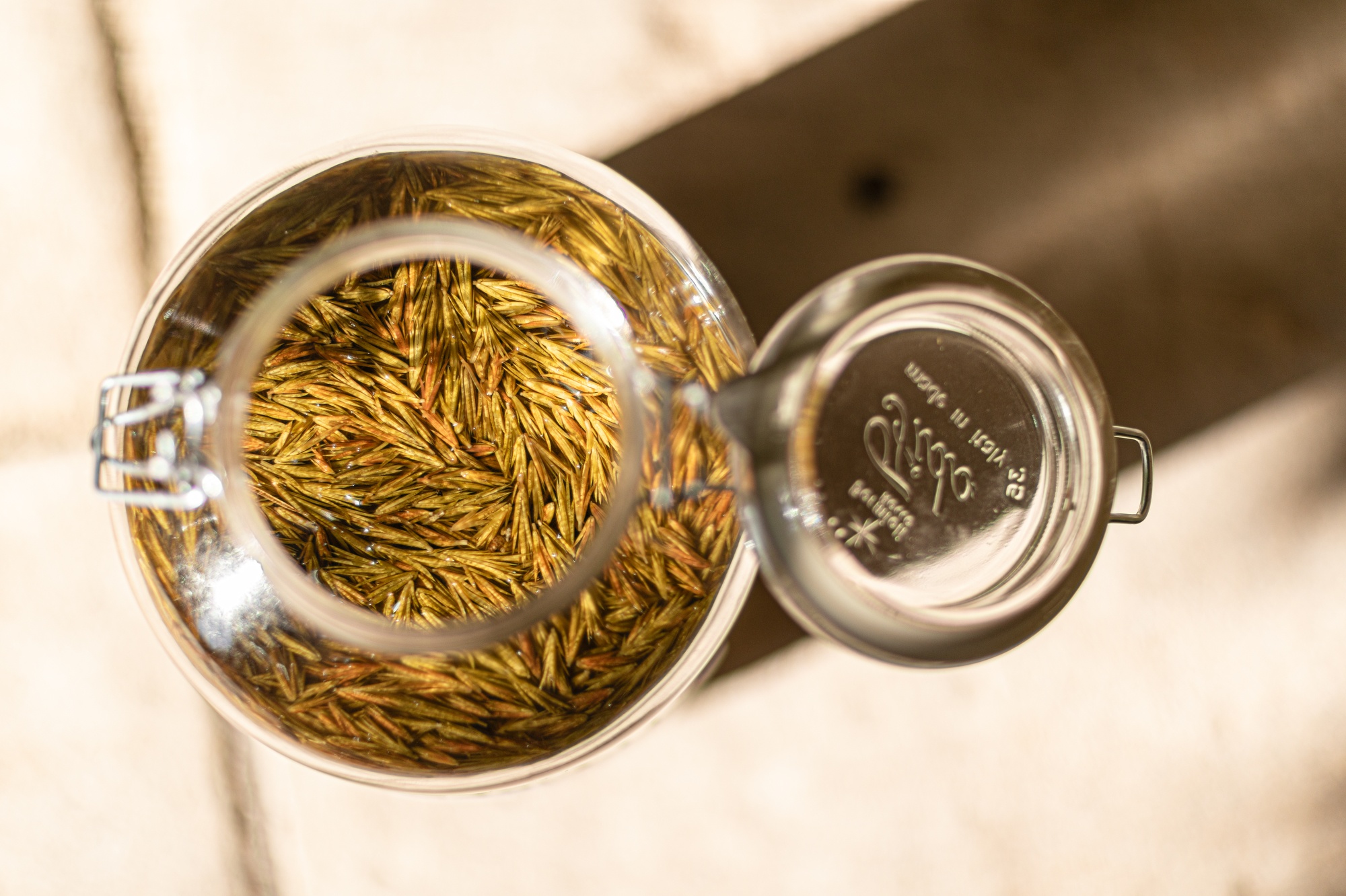 Decouvrez la distillation Macérat de bourgeons bio Genévrier 100% Bio et Artisanal