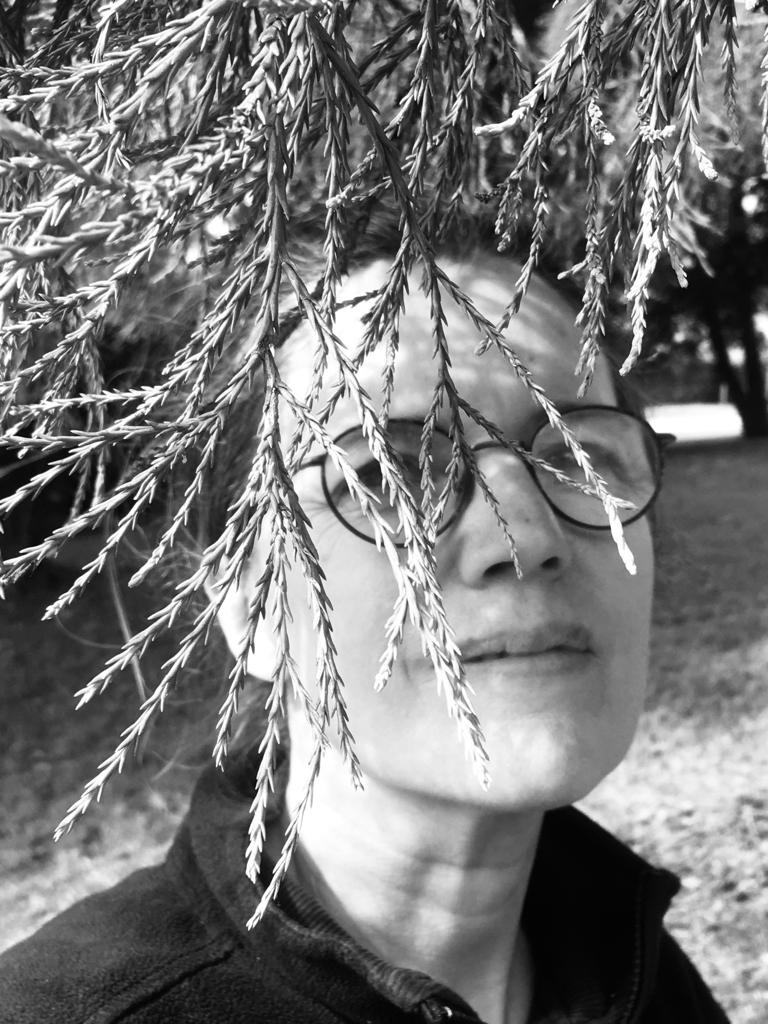 Decouvrez la distillation Bio Mammutbaum Knospenmazerat 100% Bio und Handgemacht