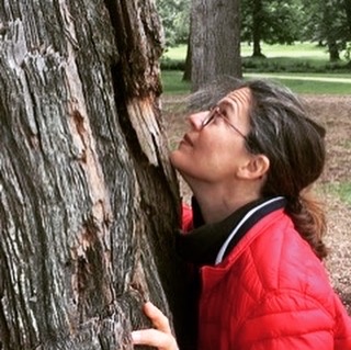 Decouvrez la distillation Bio Mammutbaum Knospenmazerat 100% Bio und Handgemacht