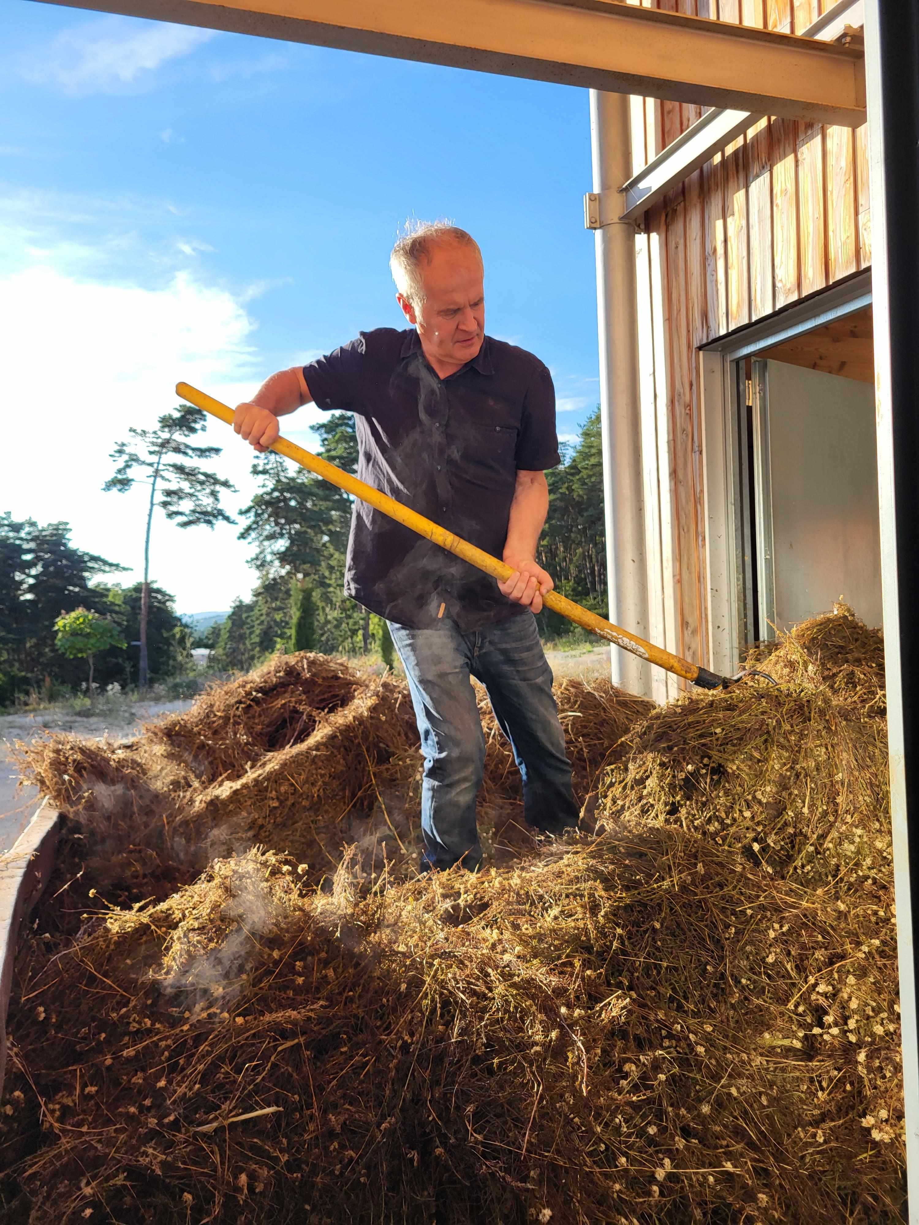 Decouvrez la distillation Aceite esencial de manzanilla romana 100% ecológico y artesanal