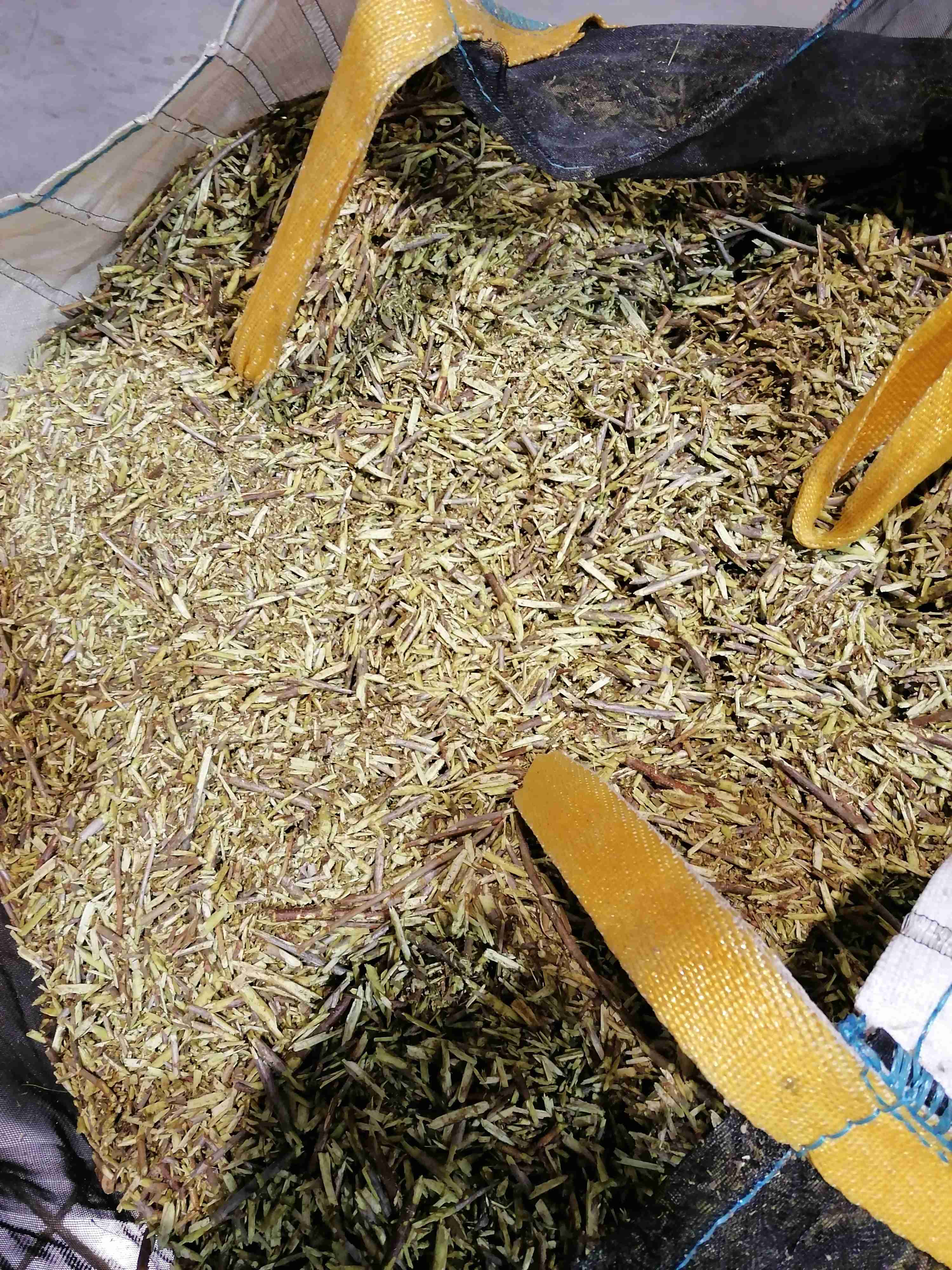 Decouvrez la distillation Idrolato di ribes nero 100% biologico e artigianale dalla Borgogna