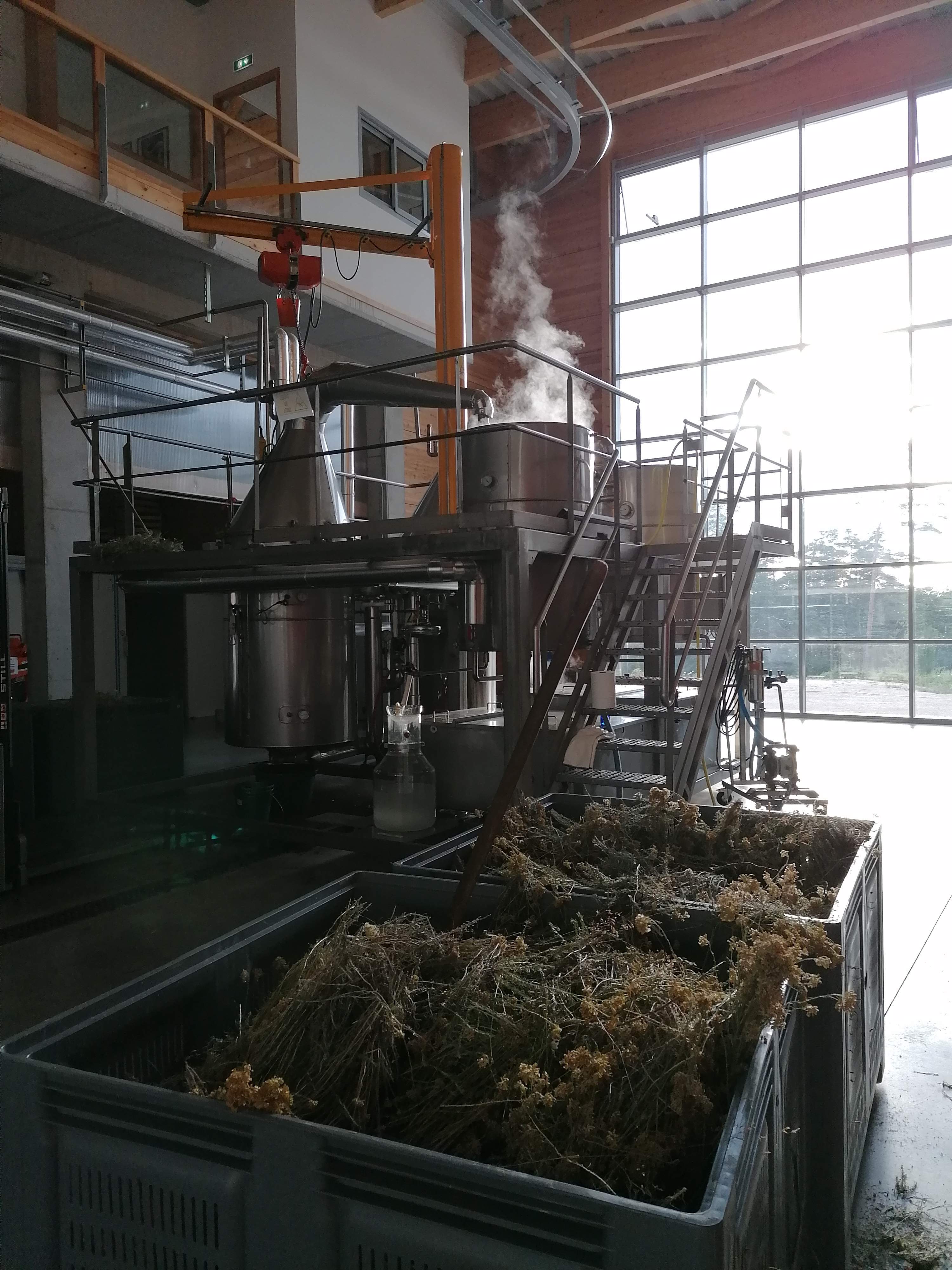 Decouvrez la distillation Huile Essentielle d'Hélichryse Italienne 100% Bio et Artisanal