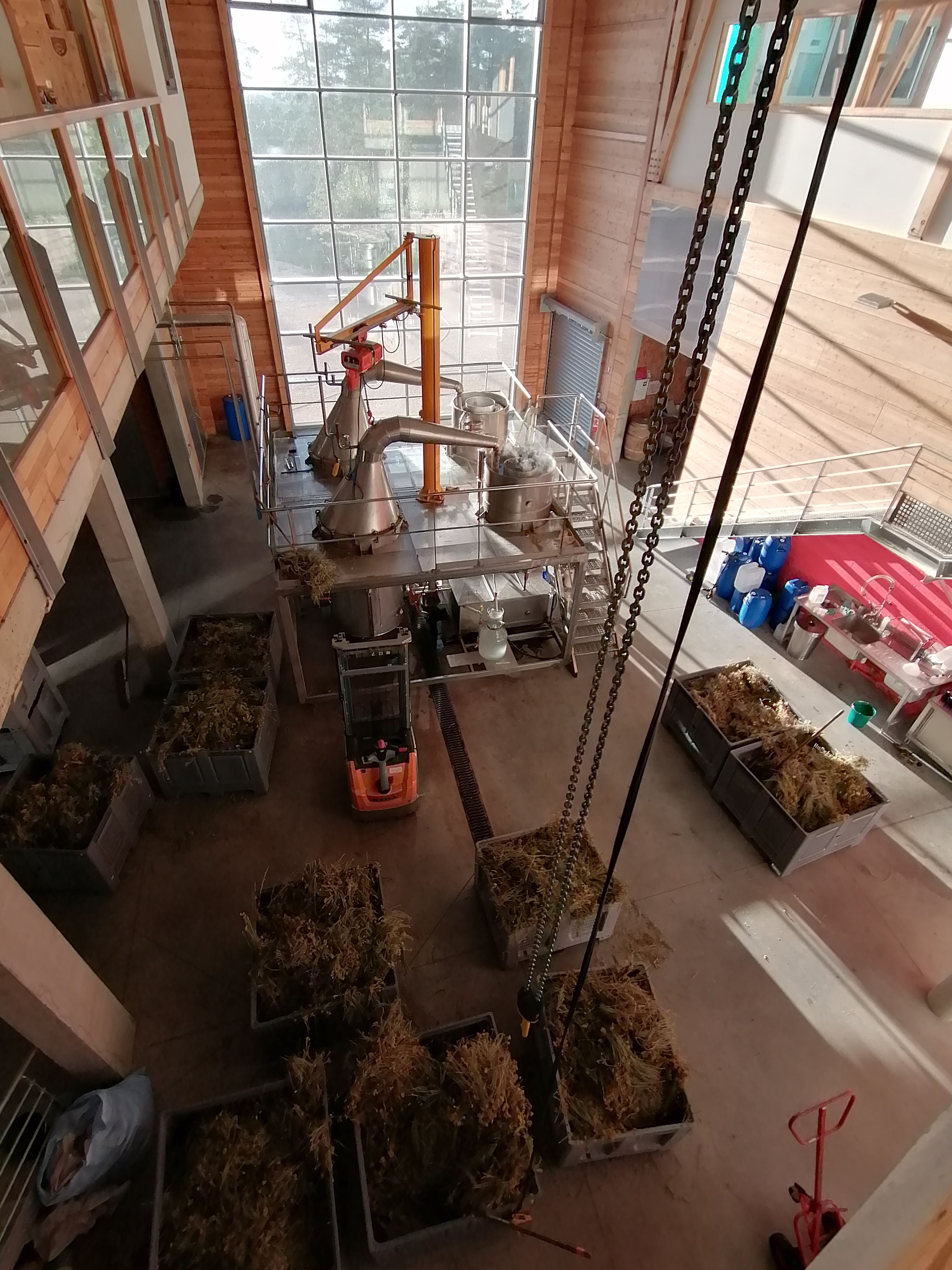 Decouvrez la distillation Huile Essentielle d'Hélichryse Italienne 100% Bio et Artisanal