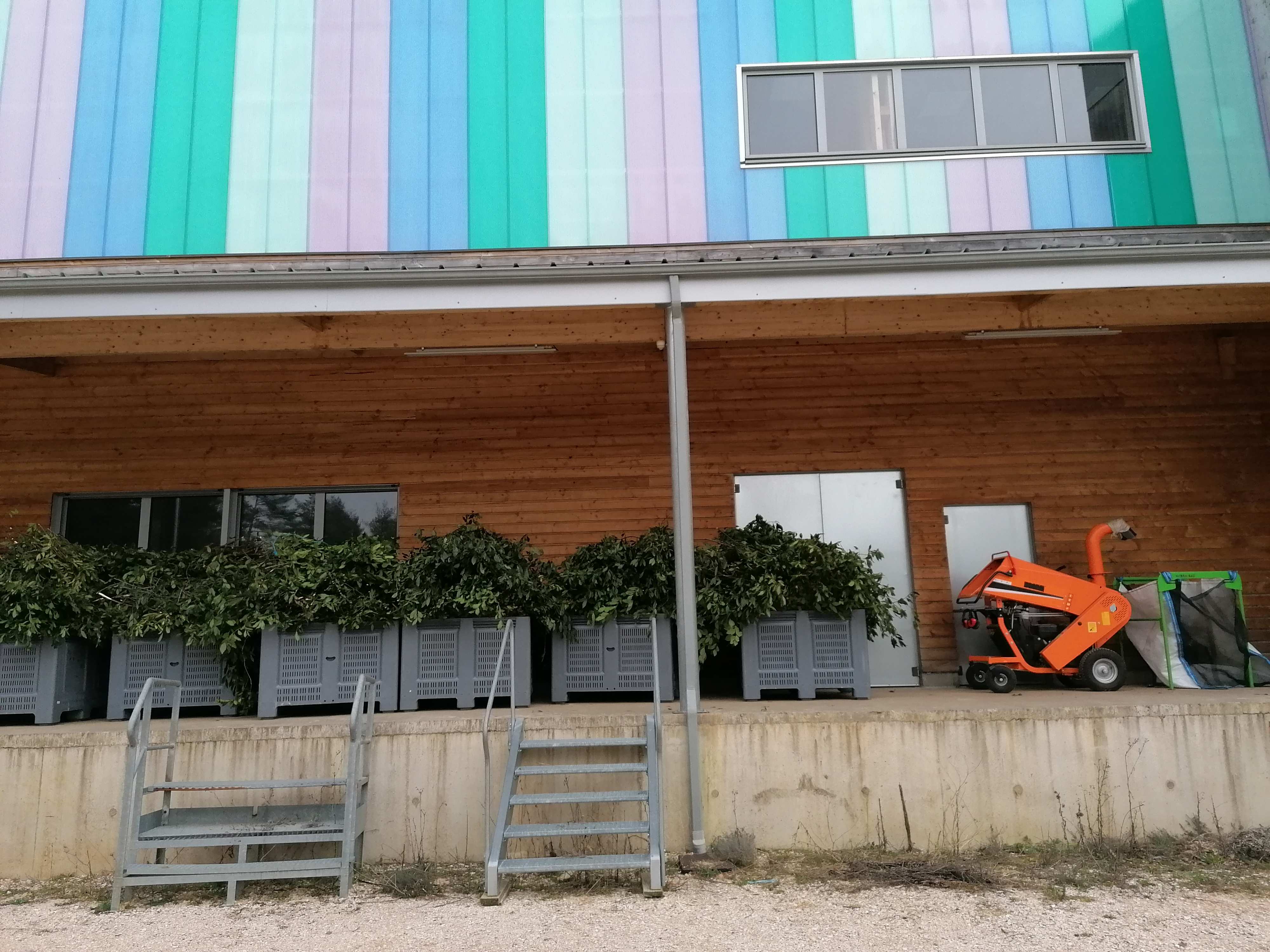 Decouvrez la distillation Laurel Essential Oil 100% Organic and Handcrafted