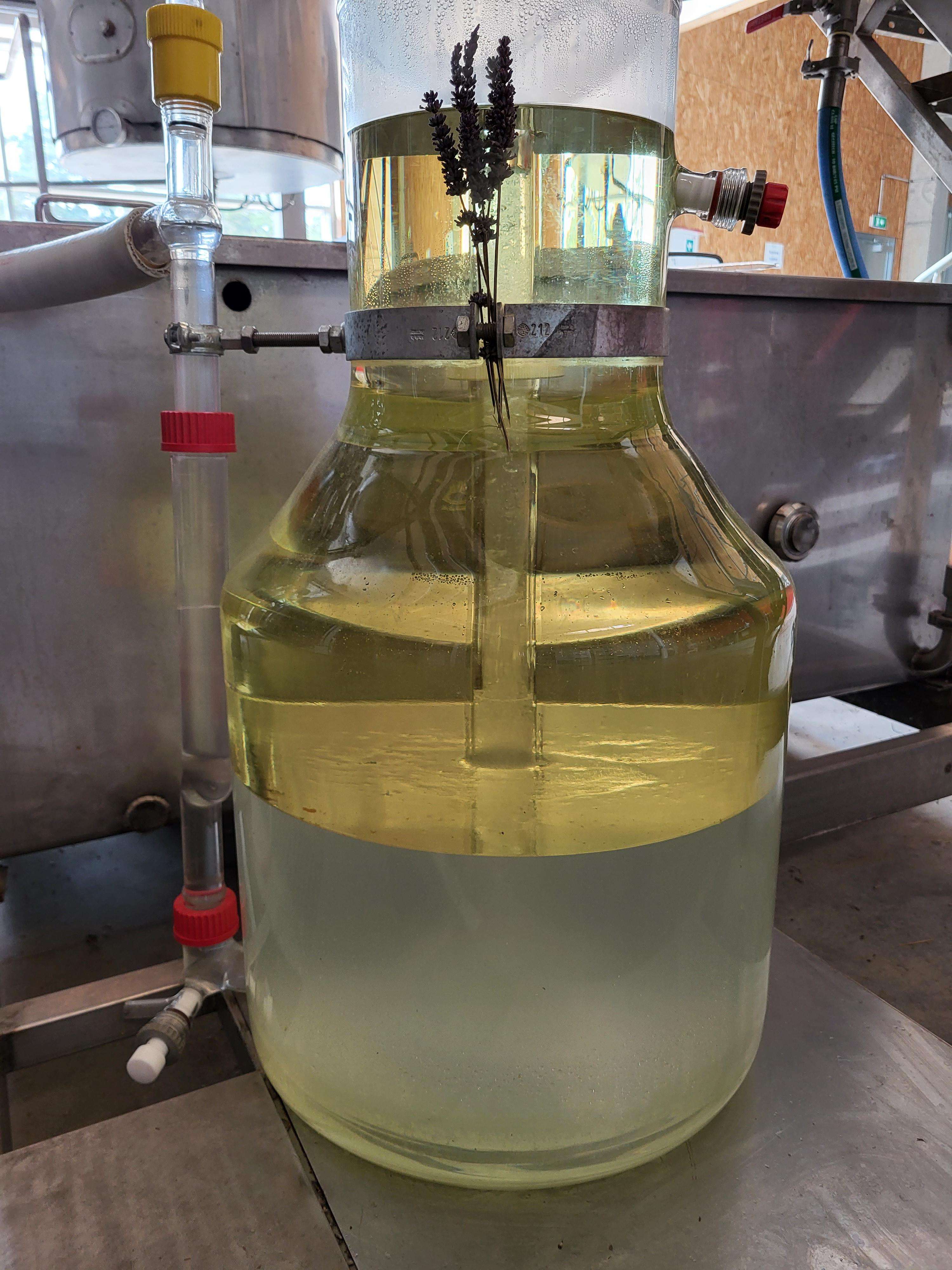 Decouvrez la distillation Huile Essentielle de Lavandin abrial 100% Bio et Artisanal