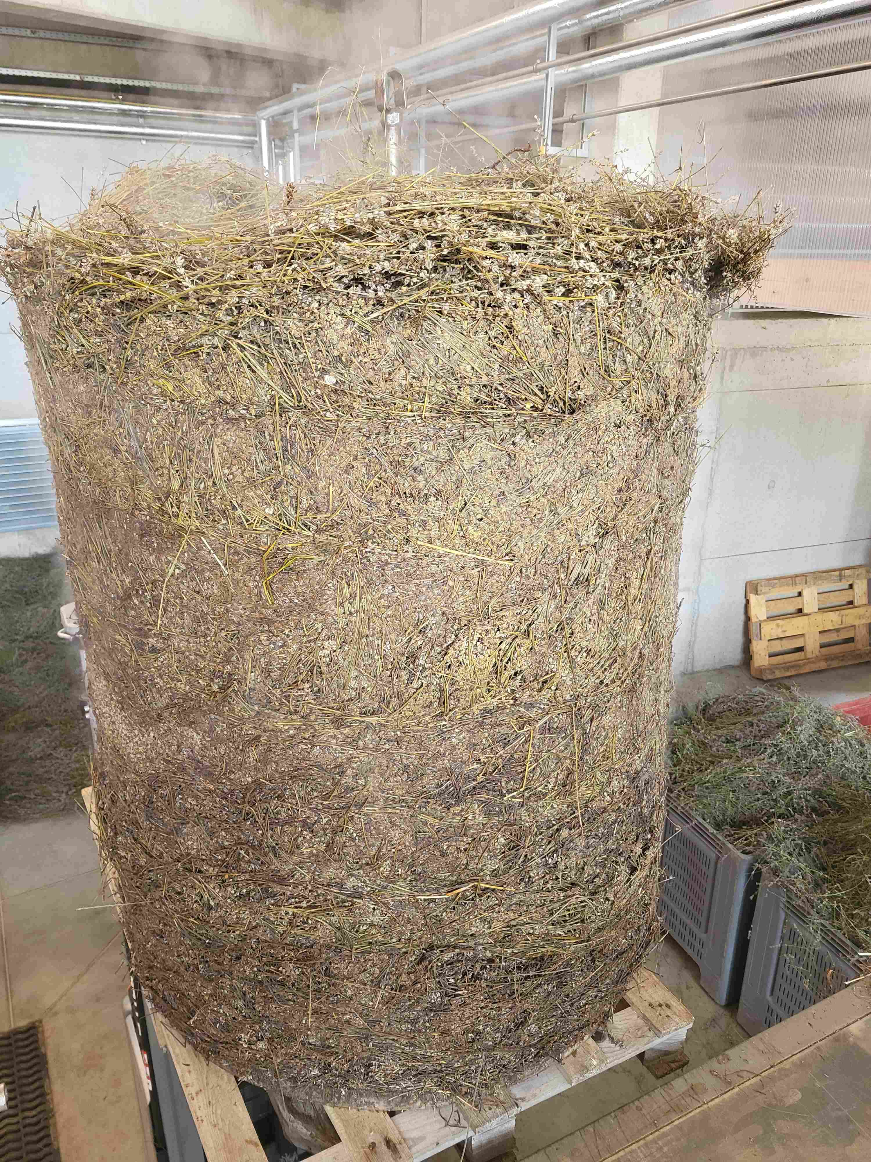 Decouvrez la distillation Huile Essentielle de Lavandin abrial 100% Bio et Artisanal