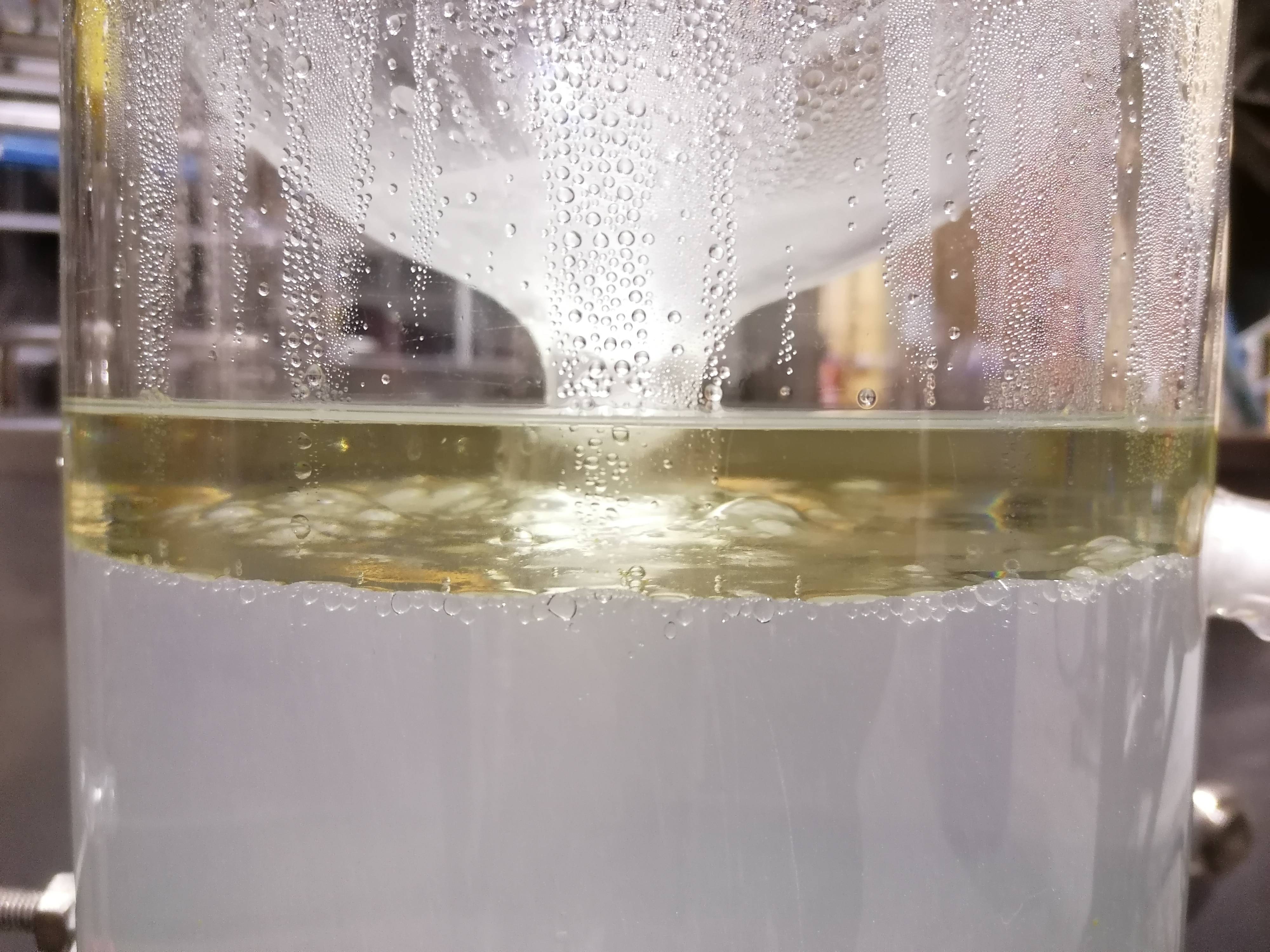 Decouvrez la distillation Hidrolato de Lentisco de Pistacho 100% Ecológico y Artesanal