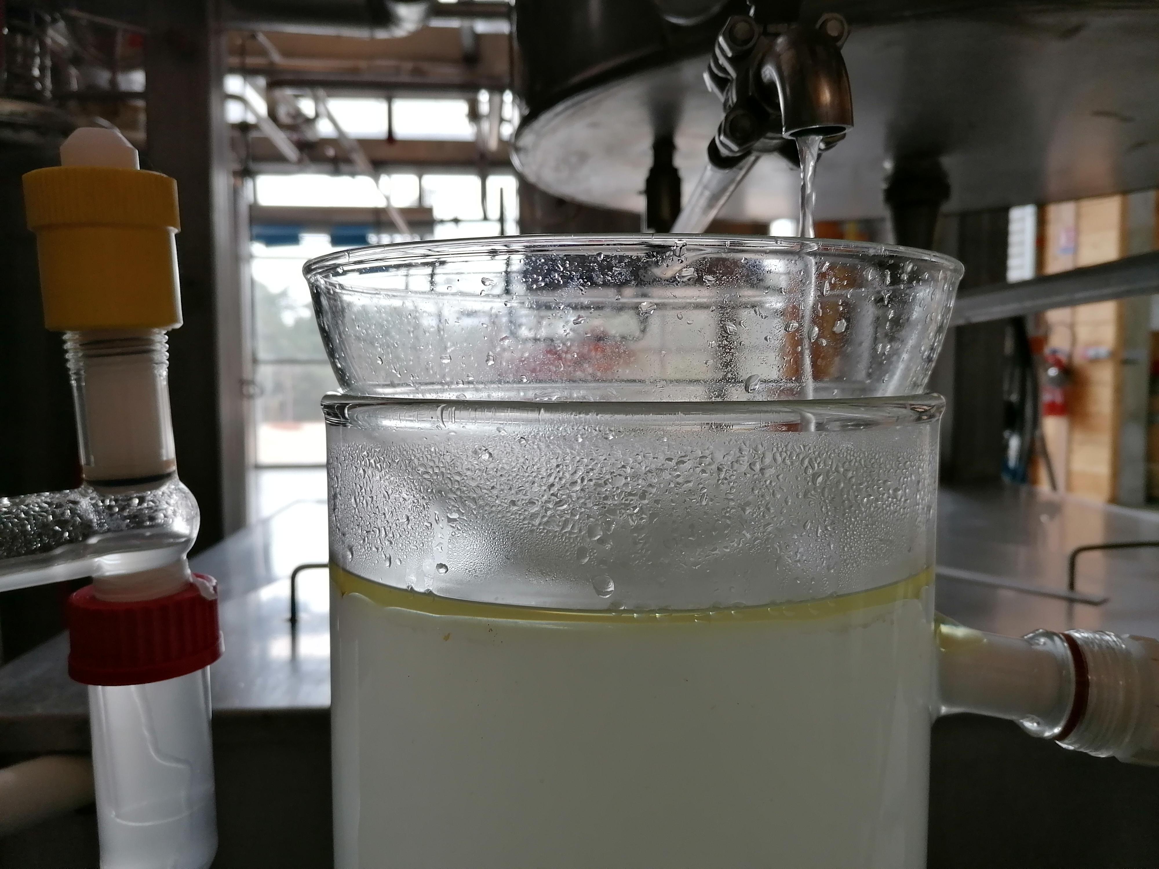 Decouvrez la distillation Idrolato di levistico (radice) 100% biologico e artigianale