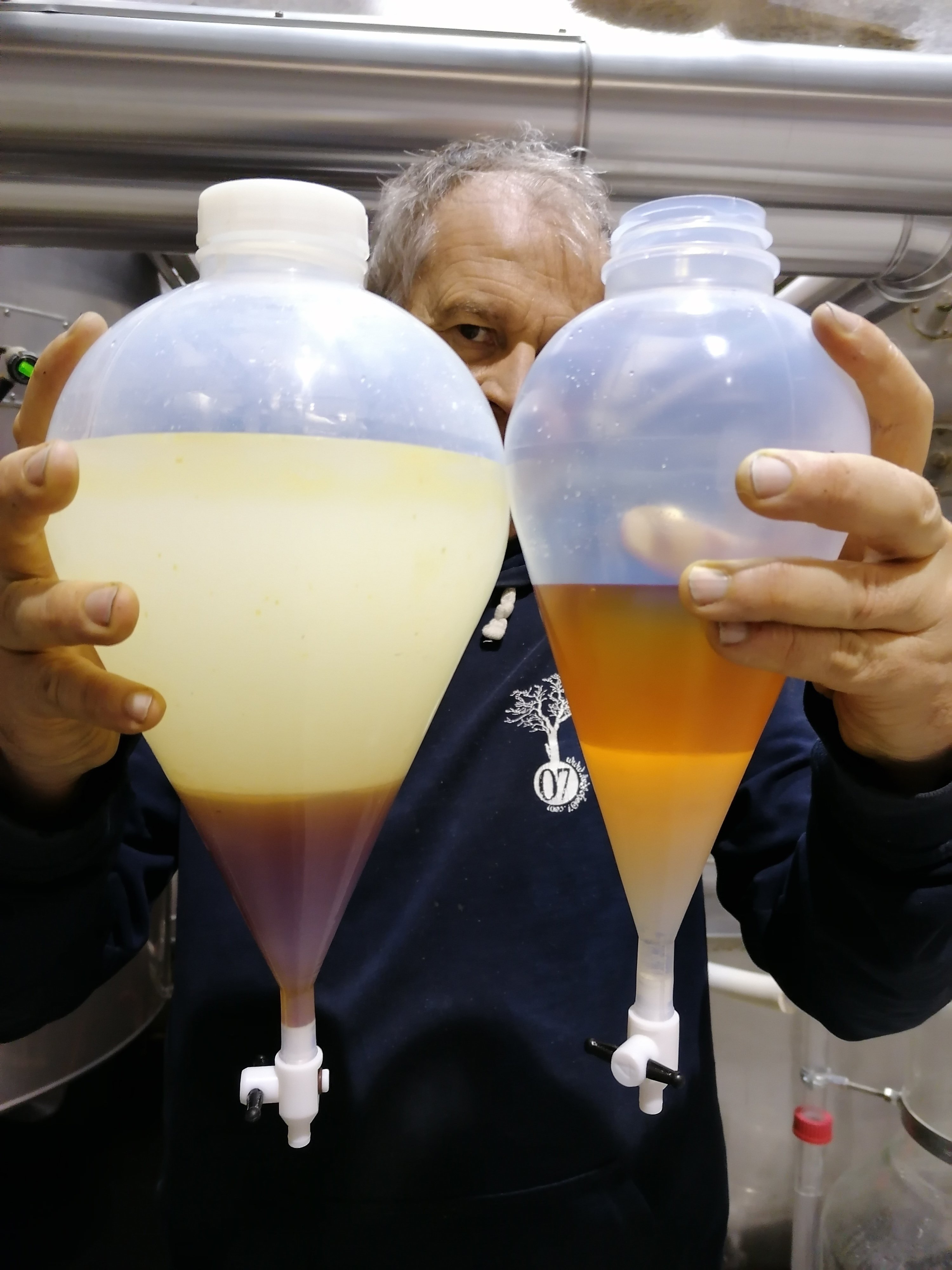 Decouvrez la distillation Idrolato di levistico (radice) 100% biologico e artigianale