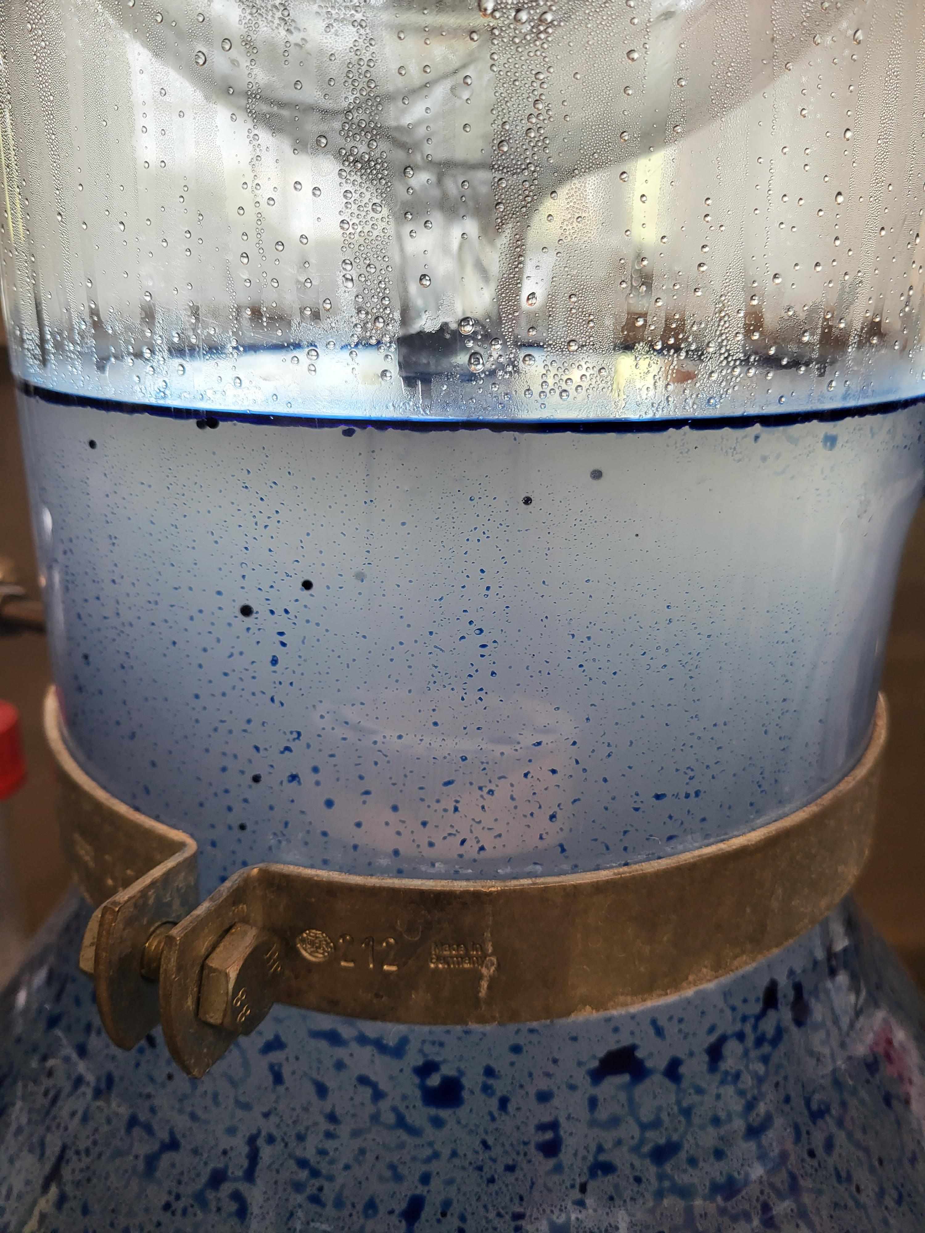 Decouvrez la distillation Huile Essentielle de Camomille Matricaire 100% Bio et Artisanal