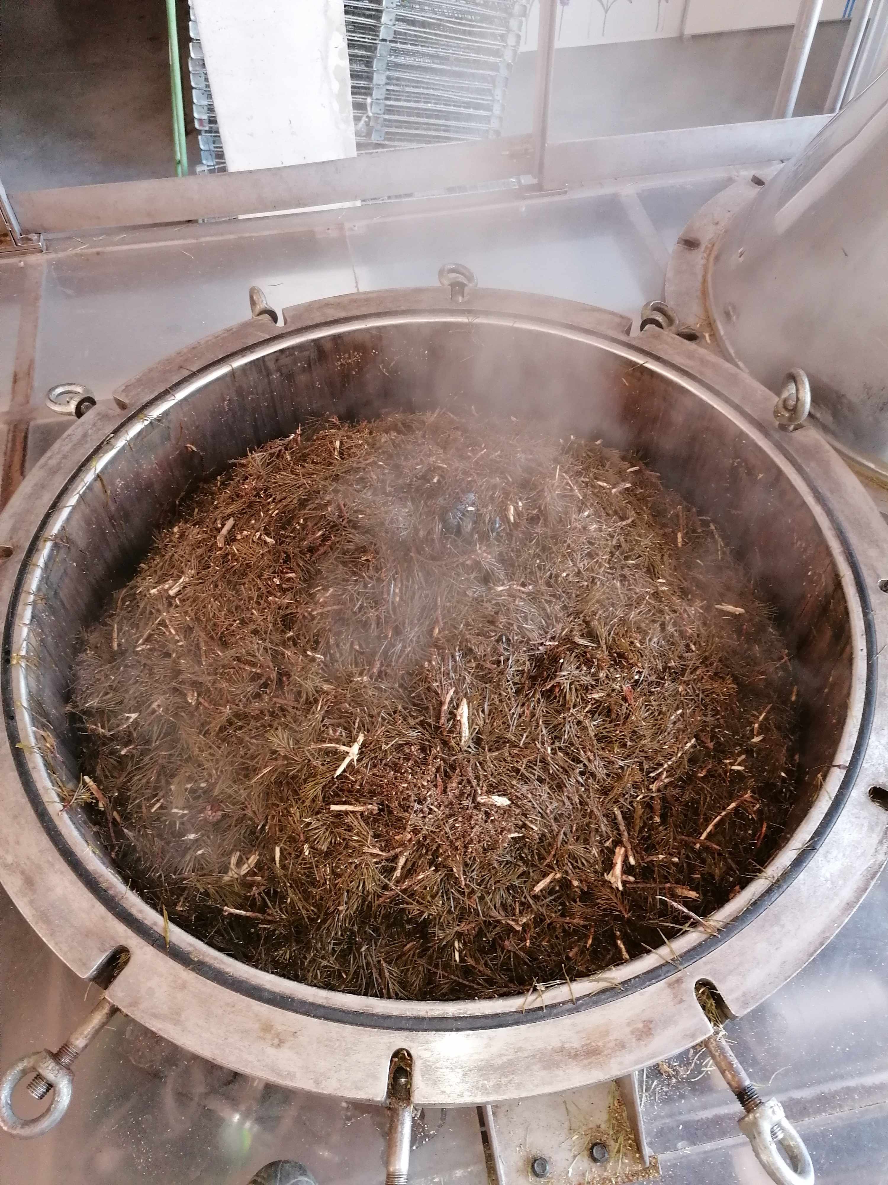 Decouvrez la distillation Huile Essentielle de Pin sylvestre 100% Bio et Artisanal