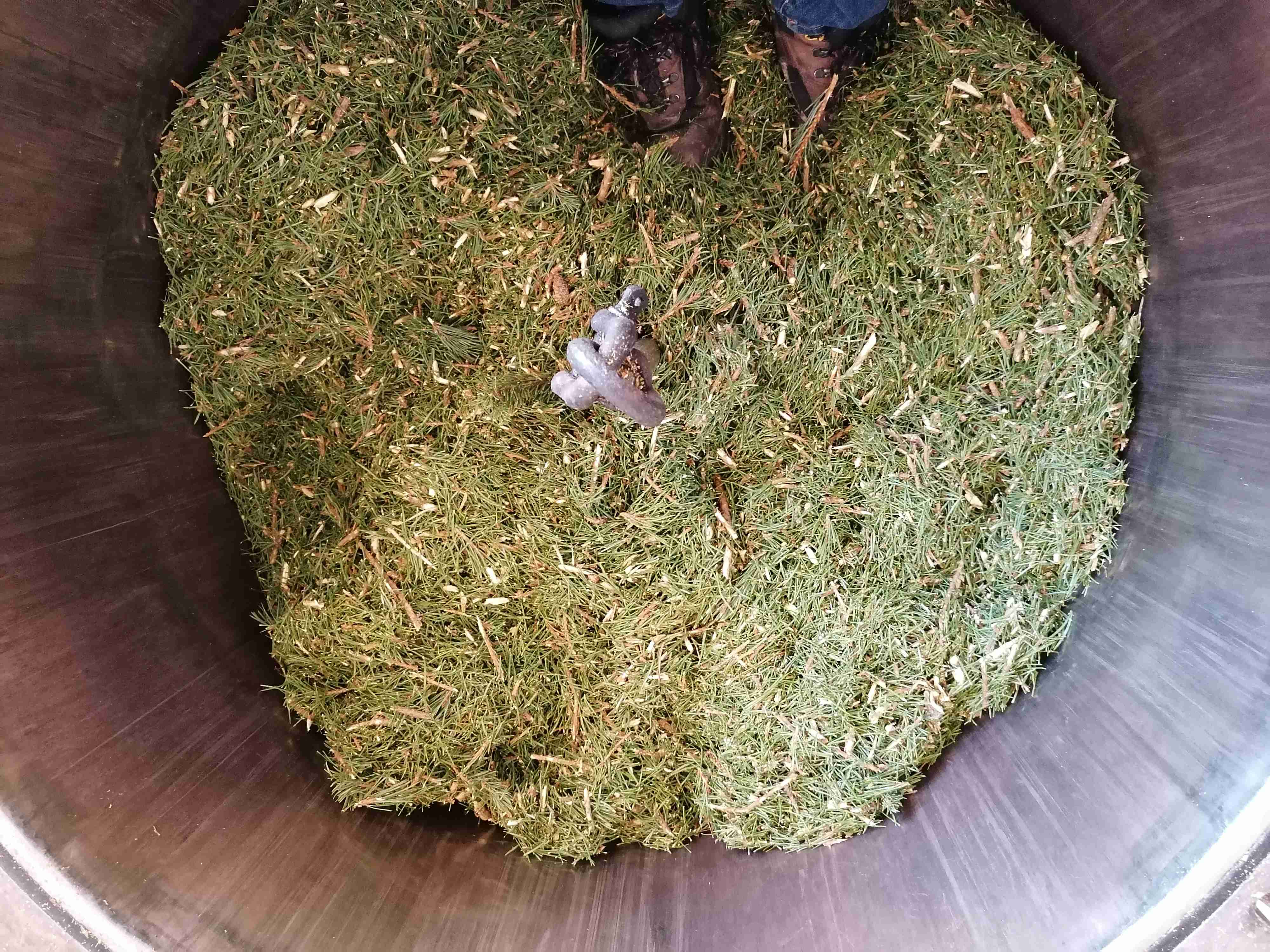 Decouvrez la distillation Huile Essentielle de Pin sylvestre 100% Bio et Artisanal