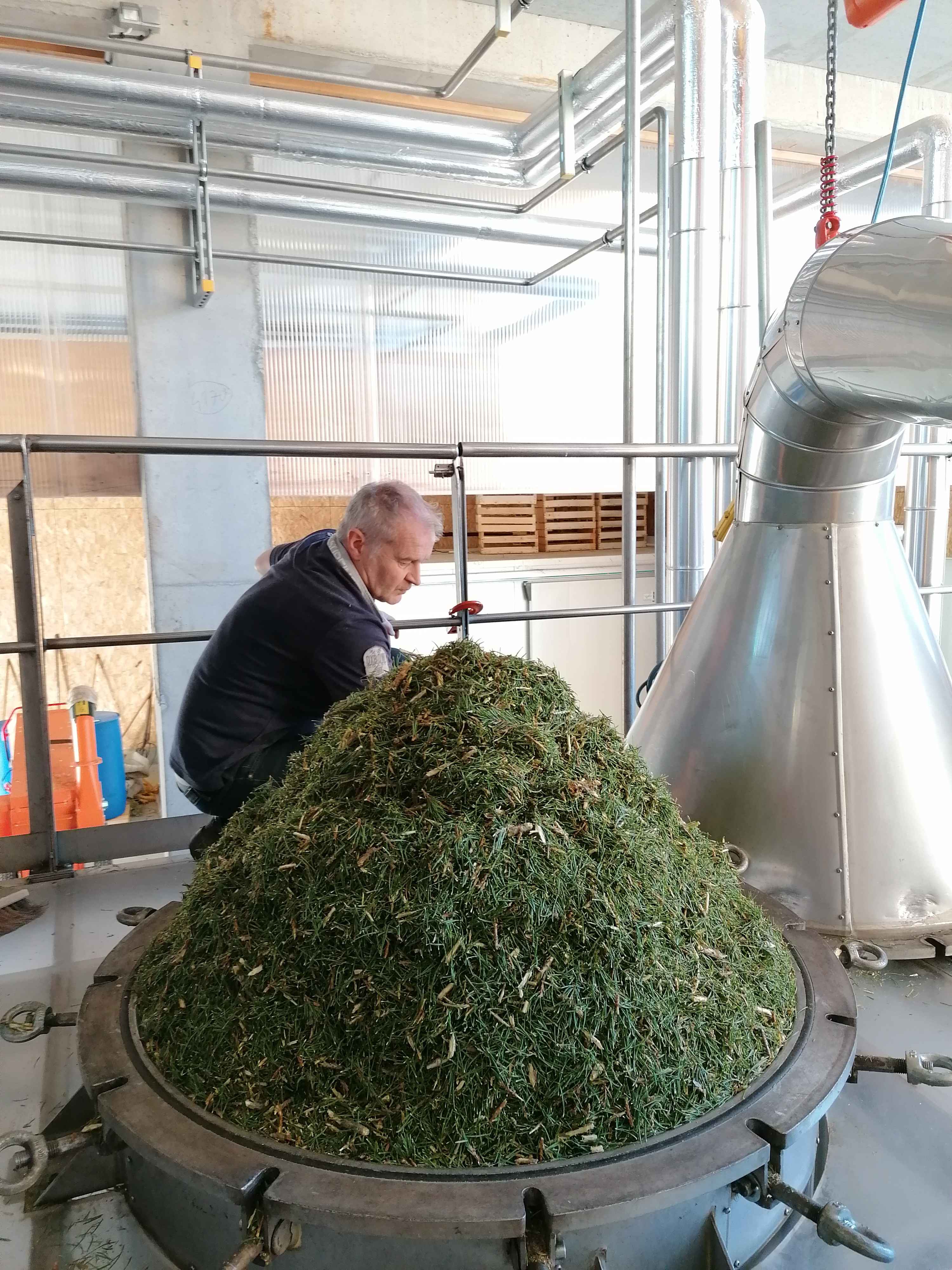 Decouvrez la distillation Huile Essentielle de Pin sylvestre 100% Bio et Artisanal