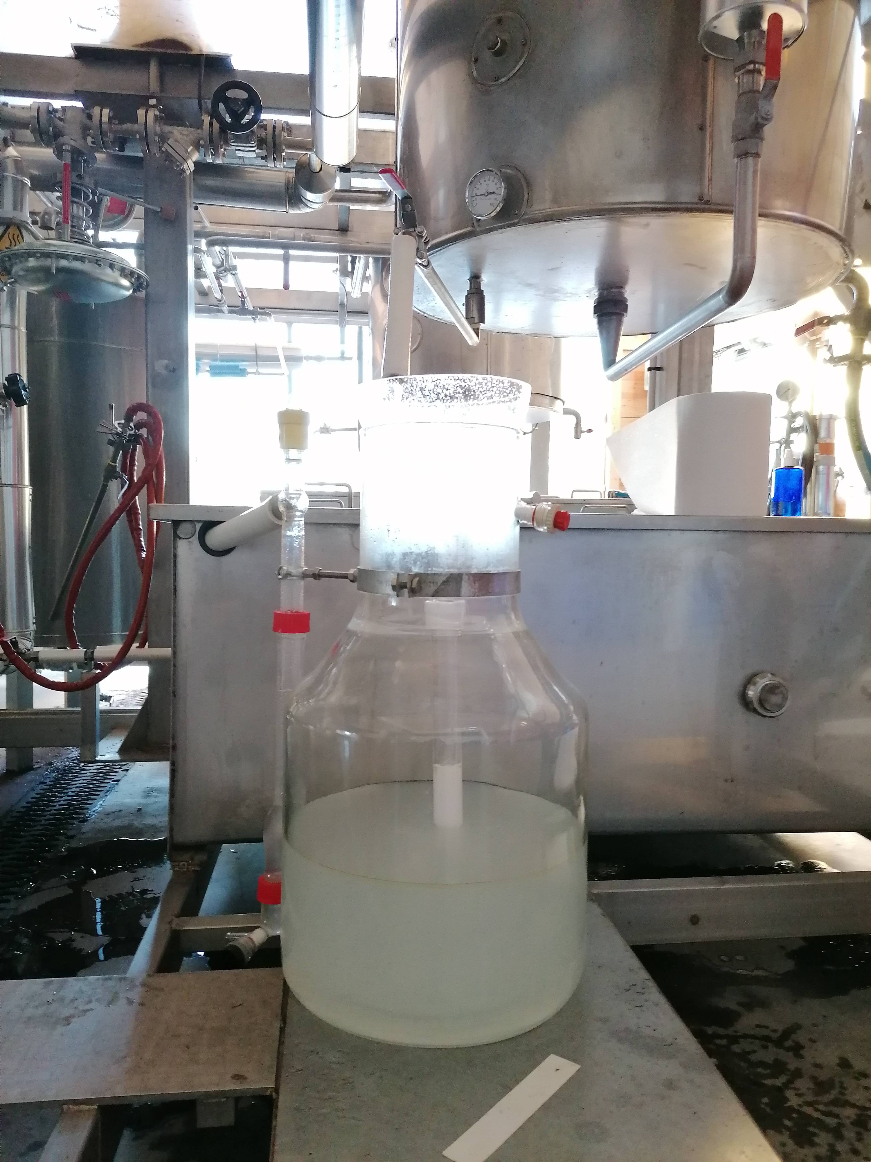 Decouvrez la distillation Huile Essentielle de Pin sylvestre 100% Bio et Artisanal