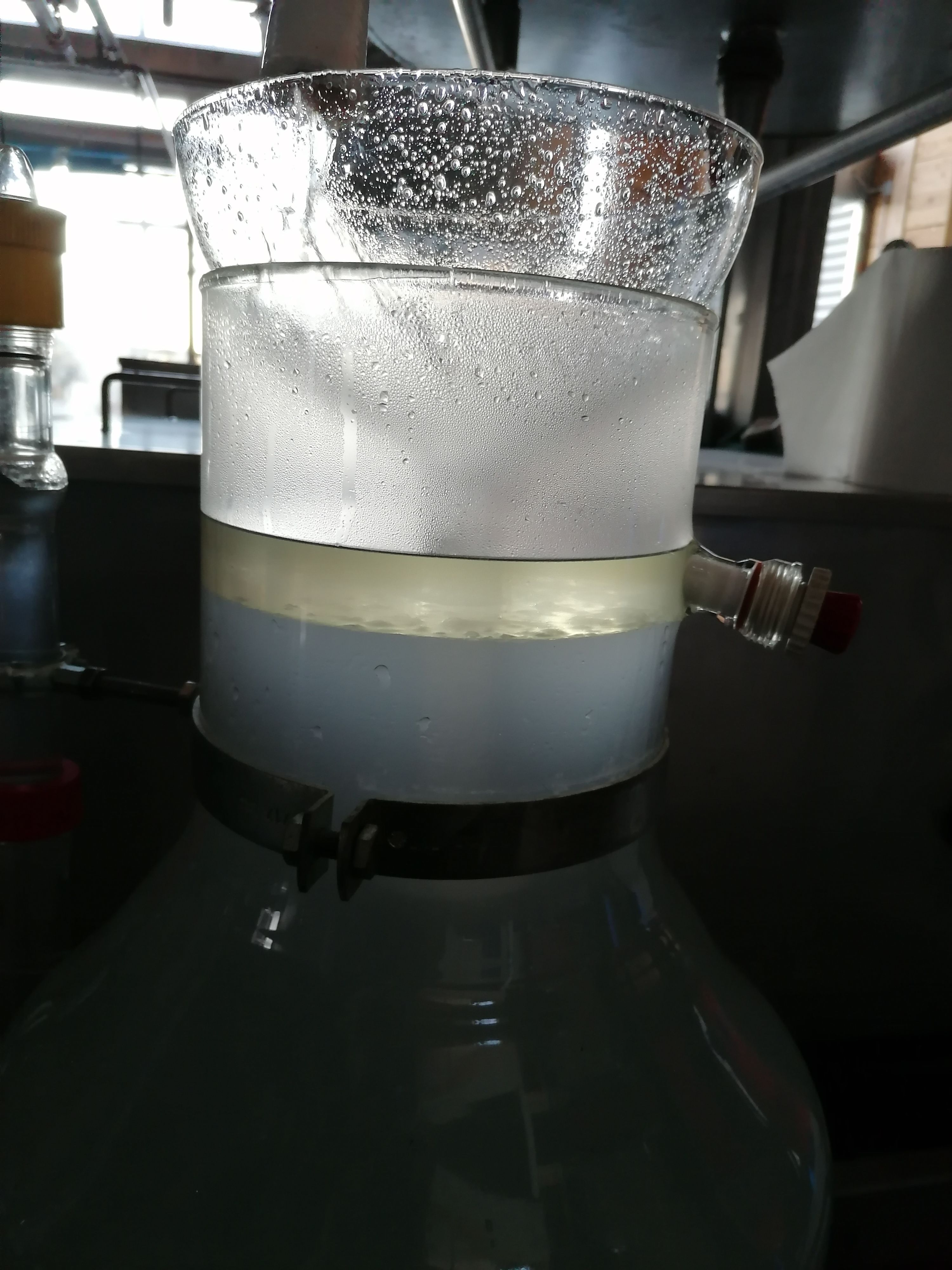 Decouvrez la distillation Huile Essentielle de Pin sylvestre 100% Bio et Artisanal