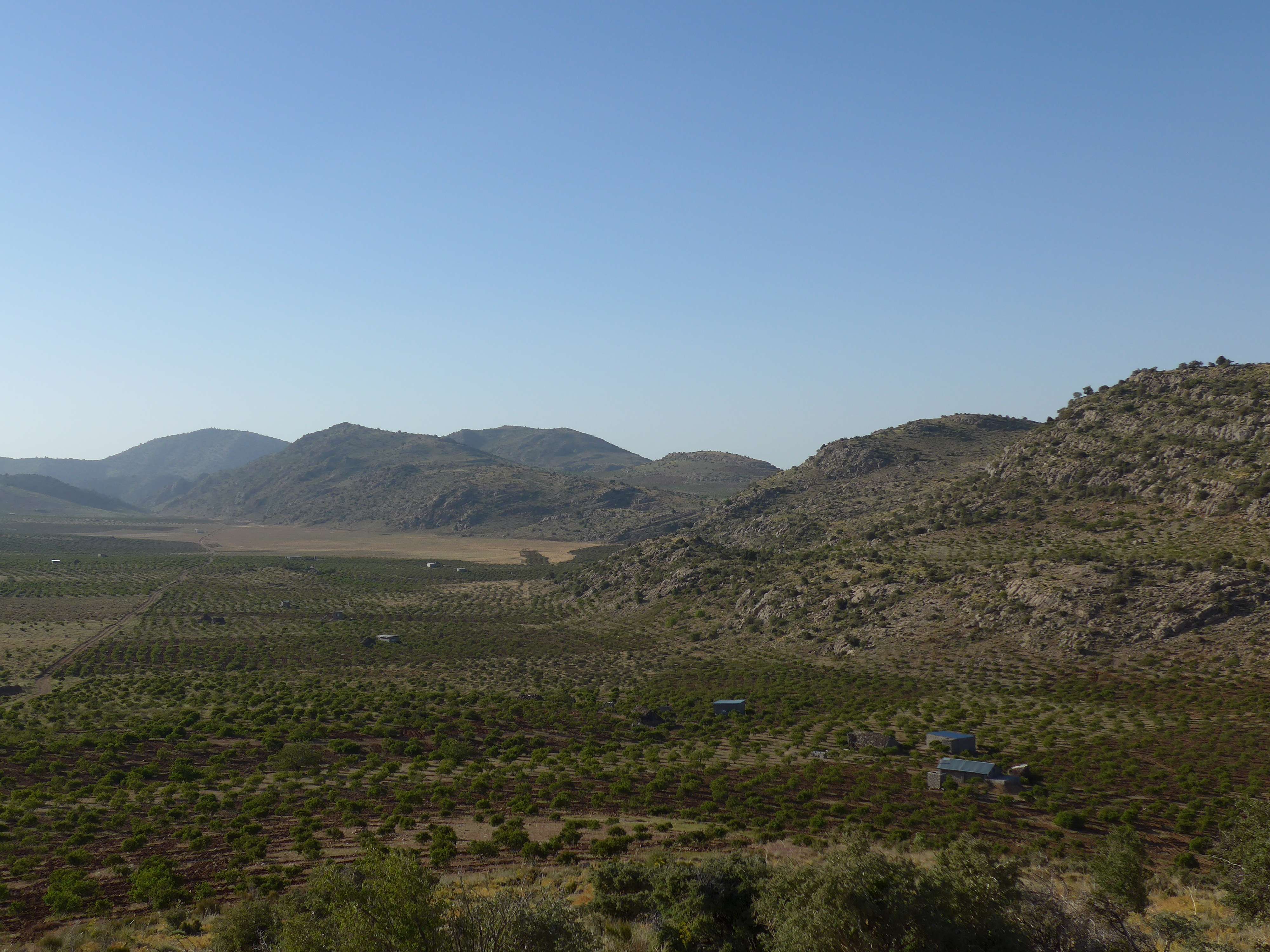 Decouvrez la distillation Hydrolat de Rose de Damas | Eau de Rose 100% Bio et Artisanal