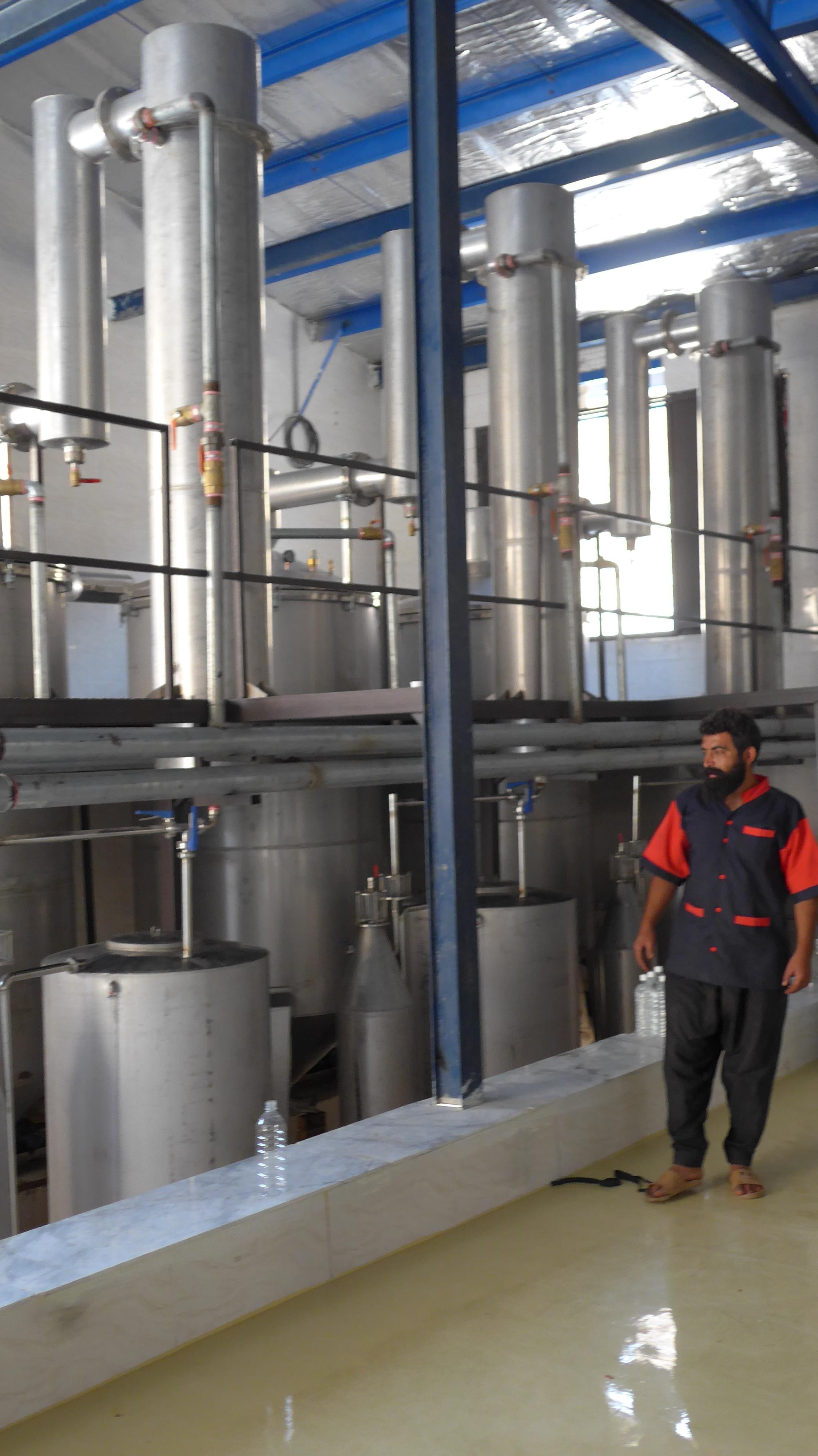 Decouvrez la distillation Hydrolat de Rose de Damas | Eau de Rose 100% Bio et Artisanal