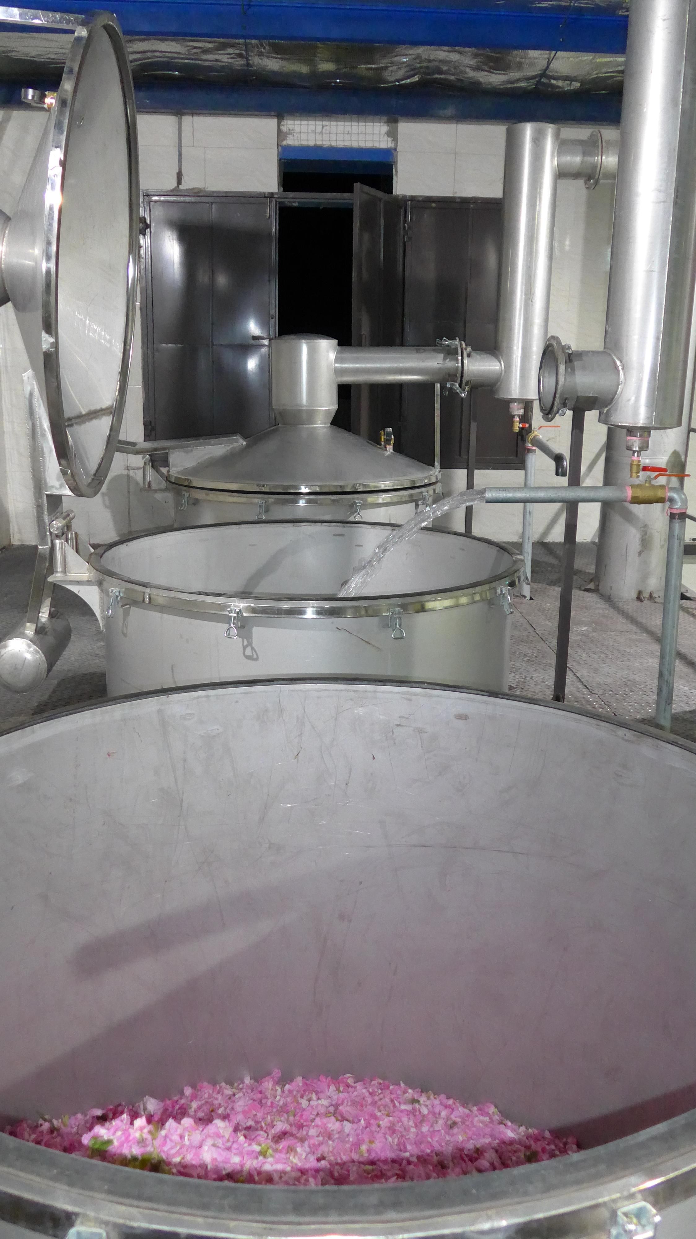 Decouvrez la distillation Hydrolat de Rose de Damas | Eau de Rose 100% Bio et Artisanal