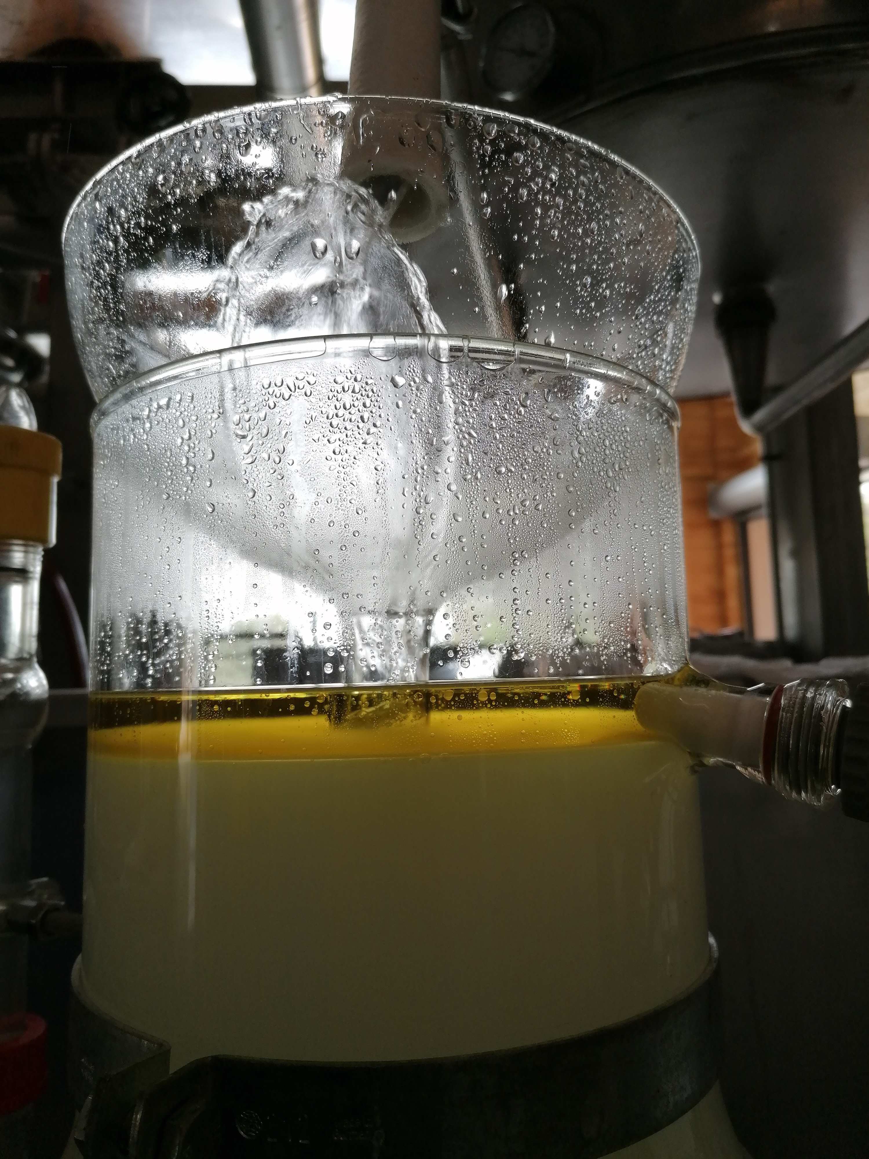 Decouvrez la distillation Ätherisches Öl aus Thymian Linalol 100% Bio und handwerklich hergestellt