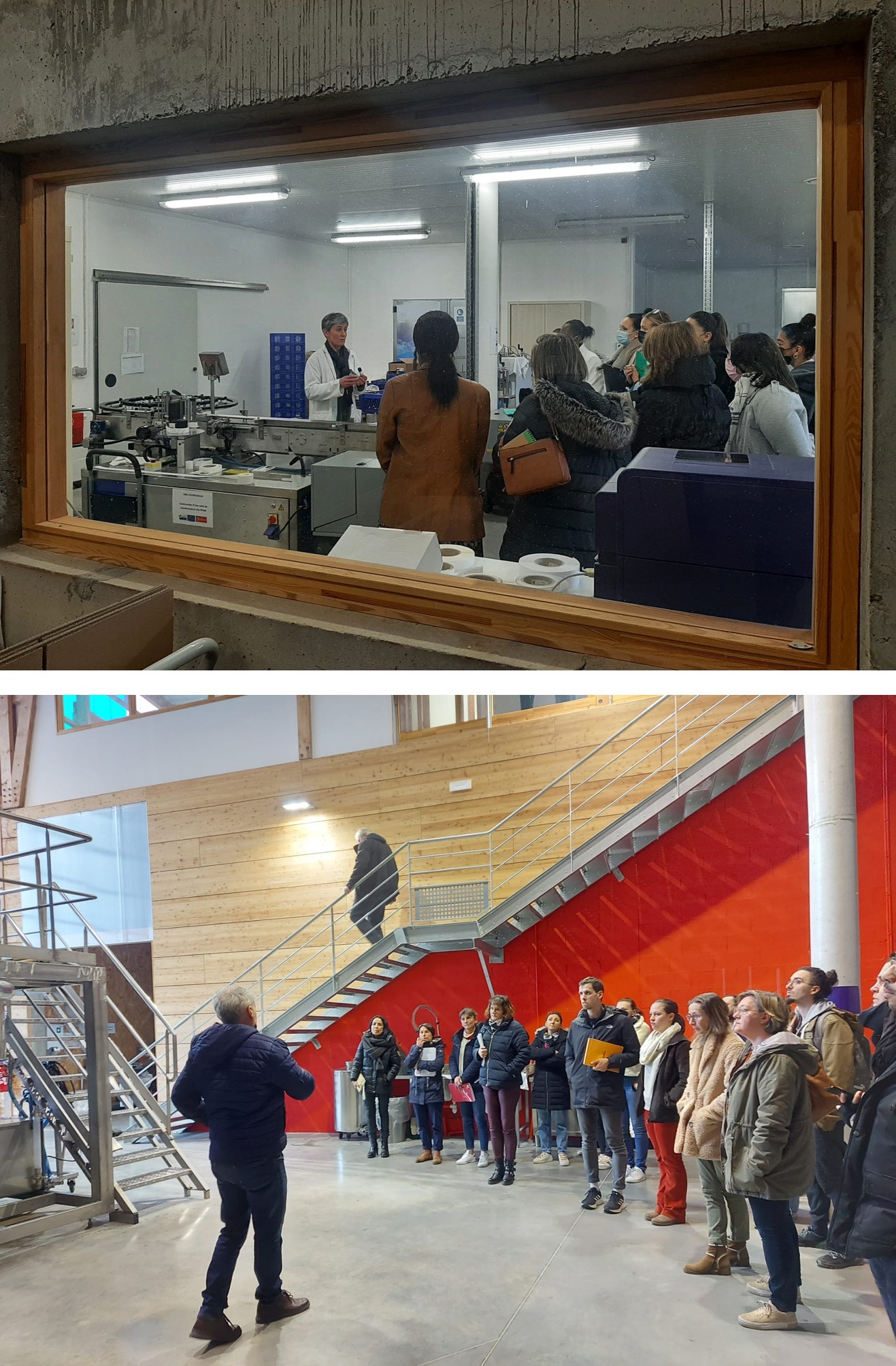 Nuestros cursos de aromaterapia