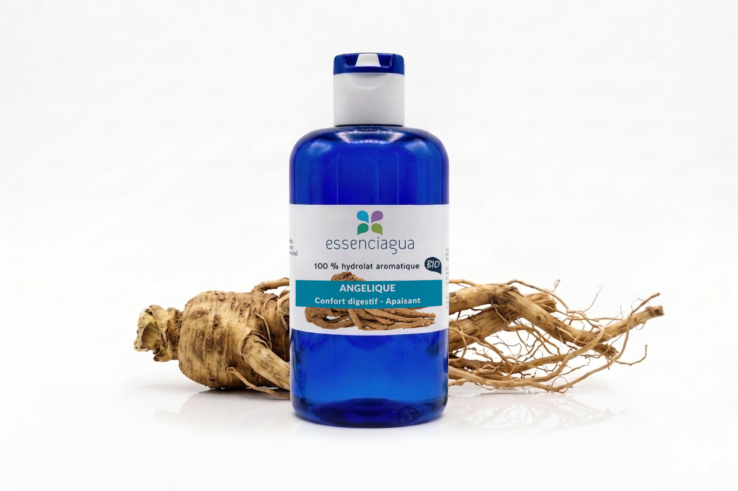 Hydrolat d'Angélique (Racine) 100% Bio et Artisanal