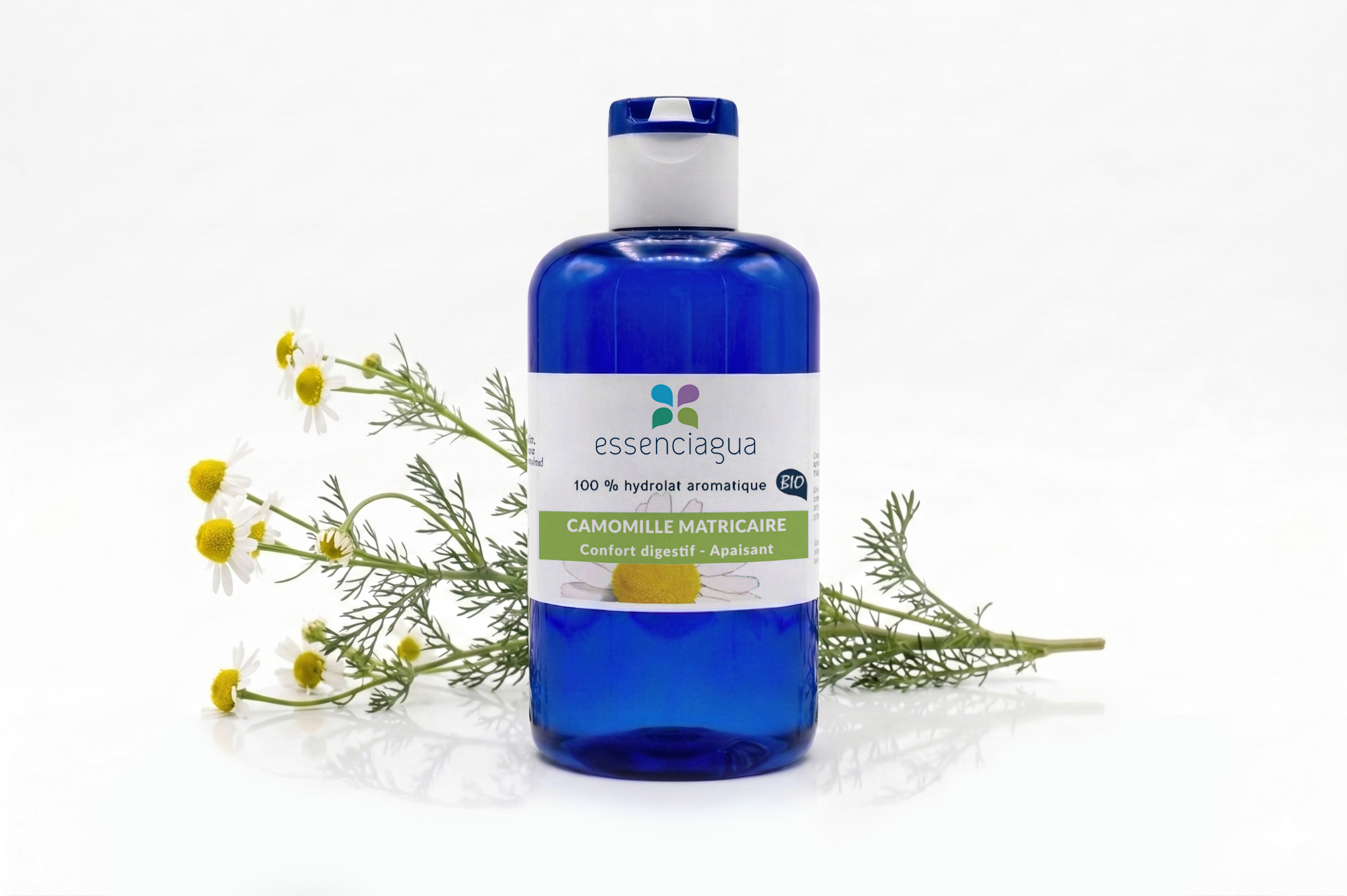 Hydrolat de Camomille Matricaire 100% Bio et Artisanal