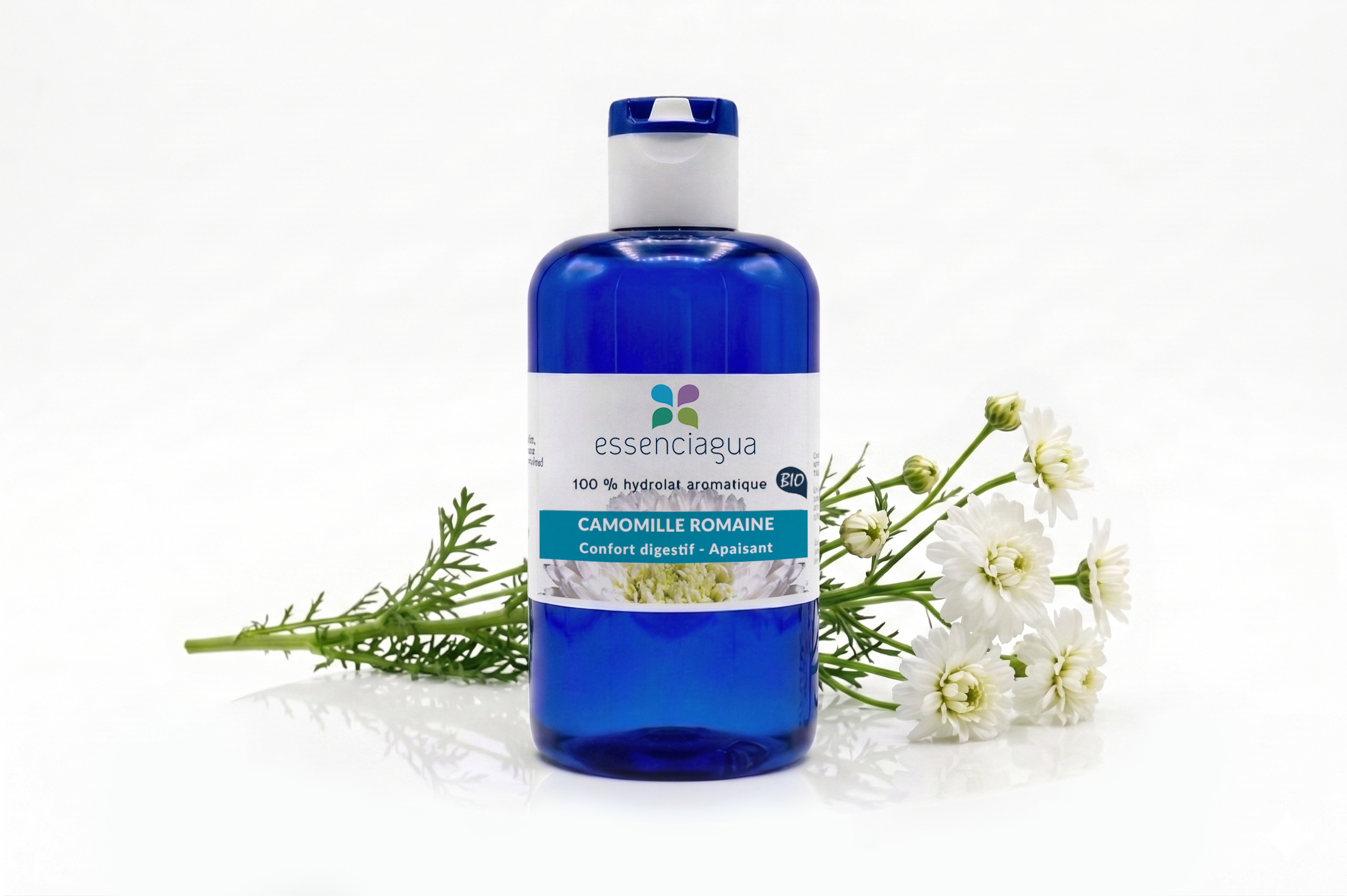 Hydrolat de Camomille romaine 100% Bio et Artisanal