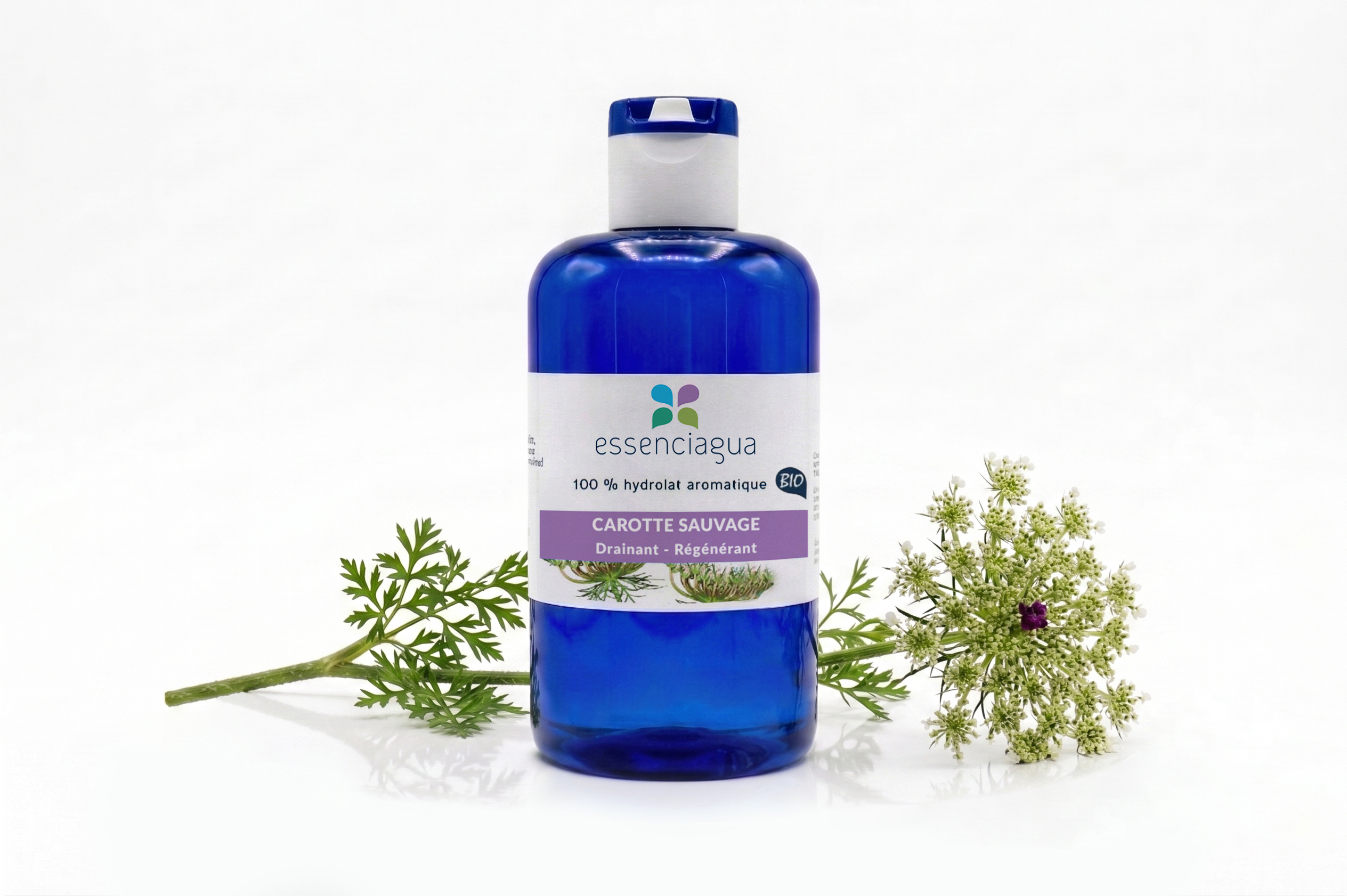 Hydrolat de Carotte sauvage 100% Bio et Artisanal