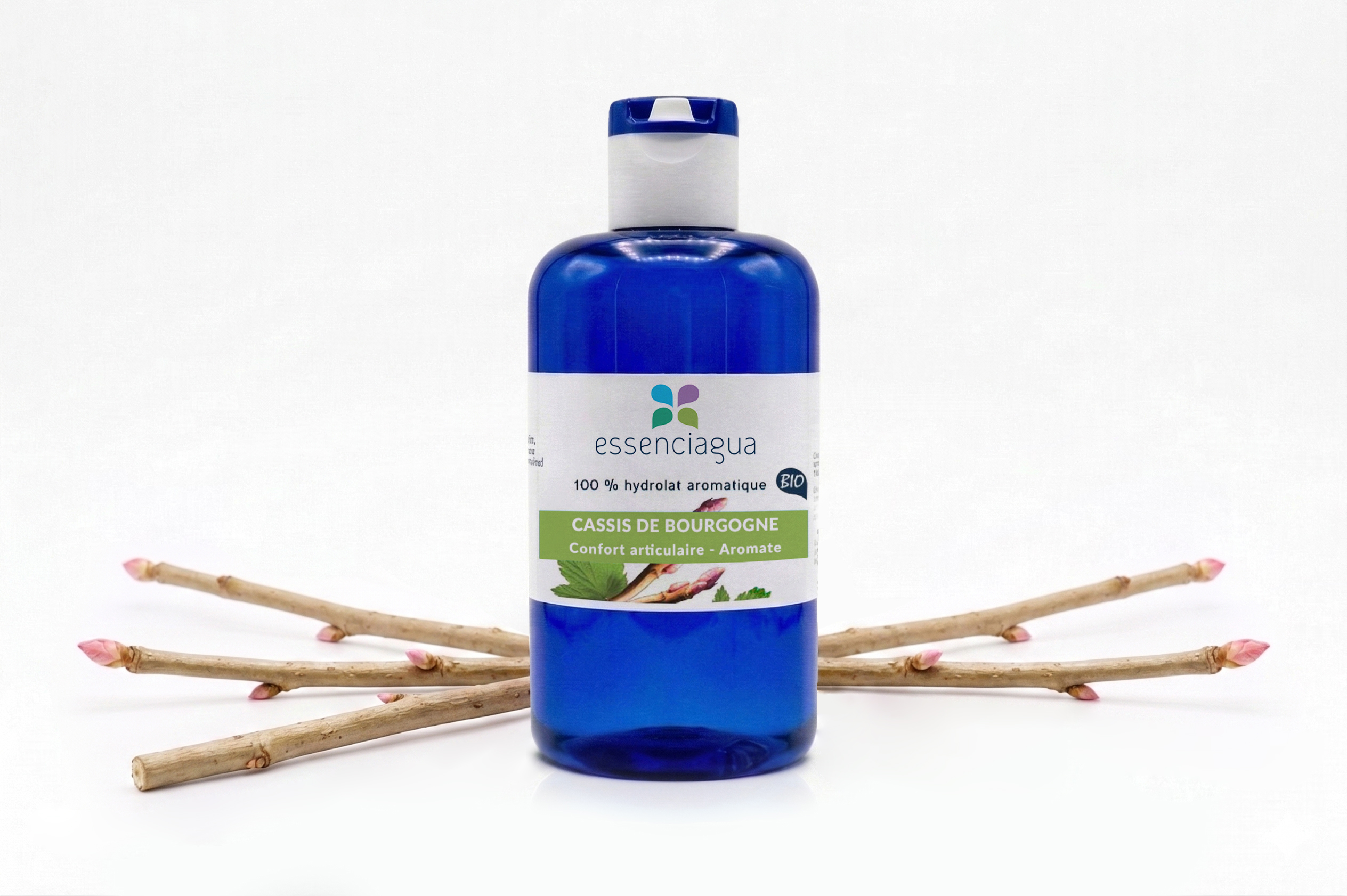 Hydrolat de Cassis de Bourgogne 100% Bio et Artisanal