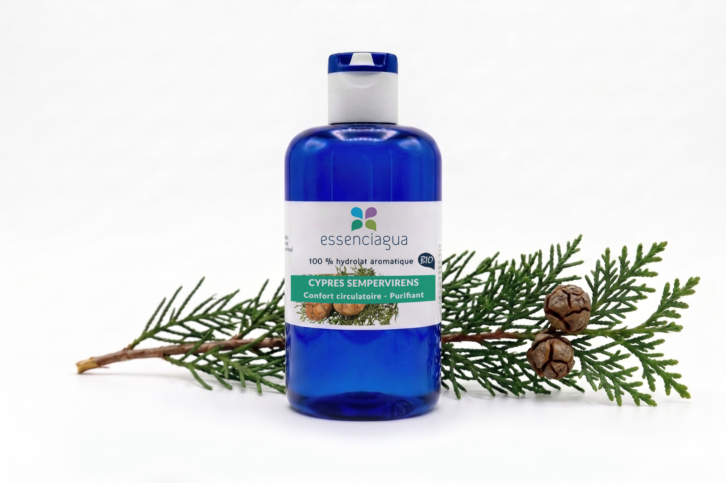 Hydrolat de Cyprès toujours vert 100% Bio et Artisanal