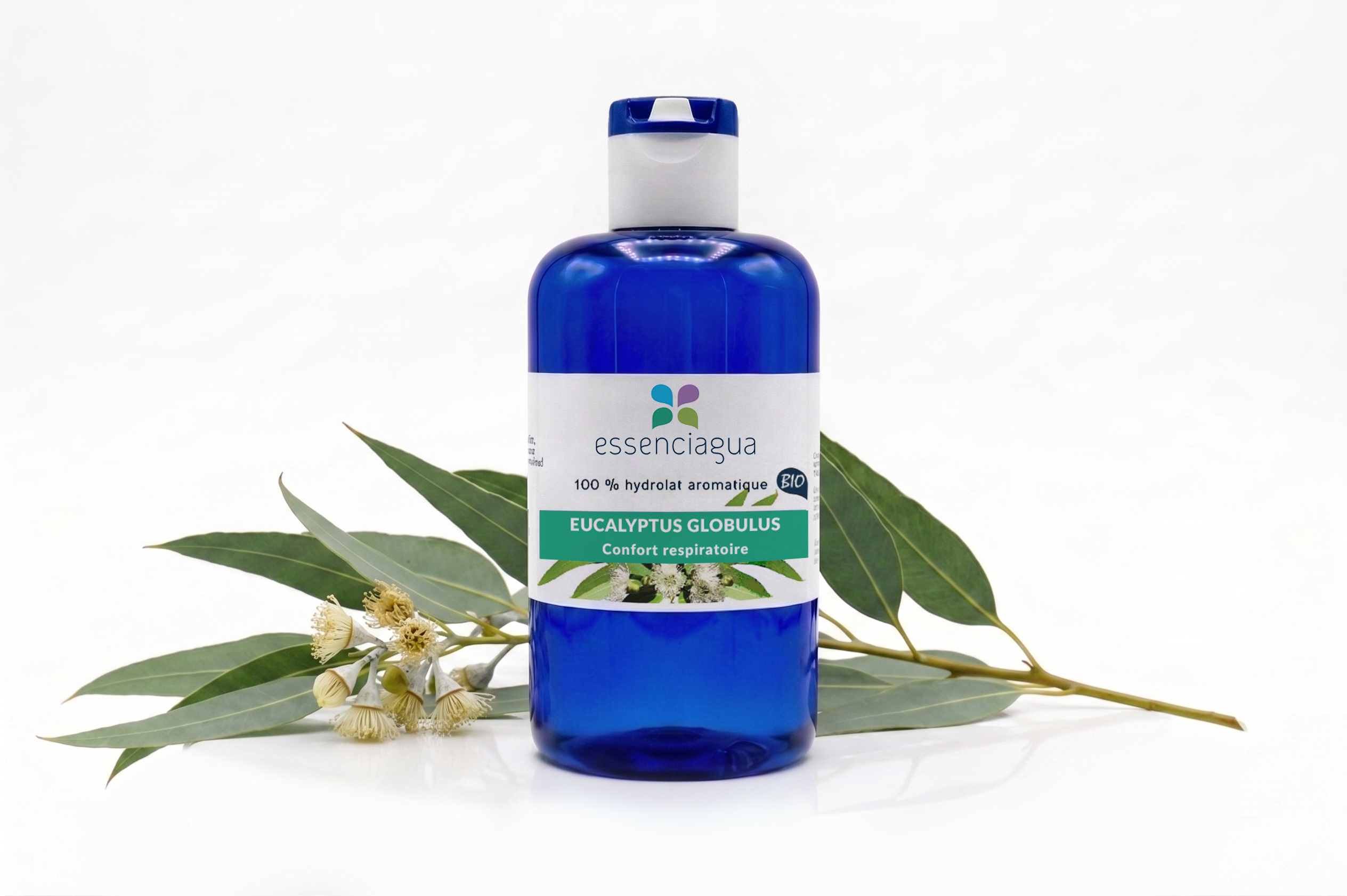 Hydrolat d'Eucalyptus globulus 100% Bio et Artisanal
