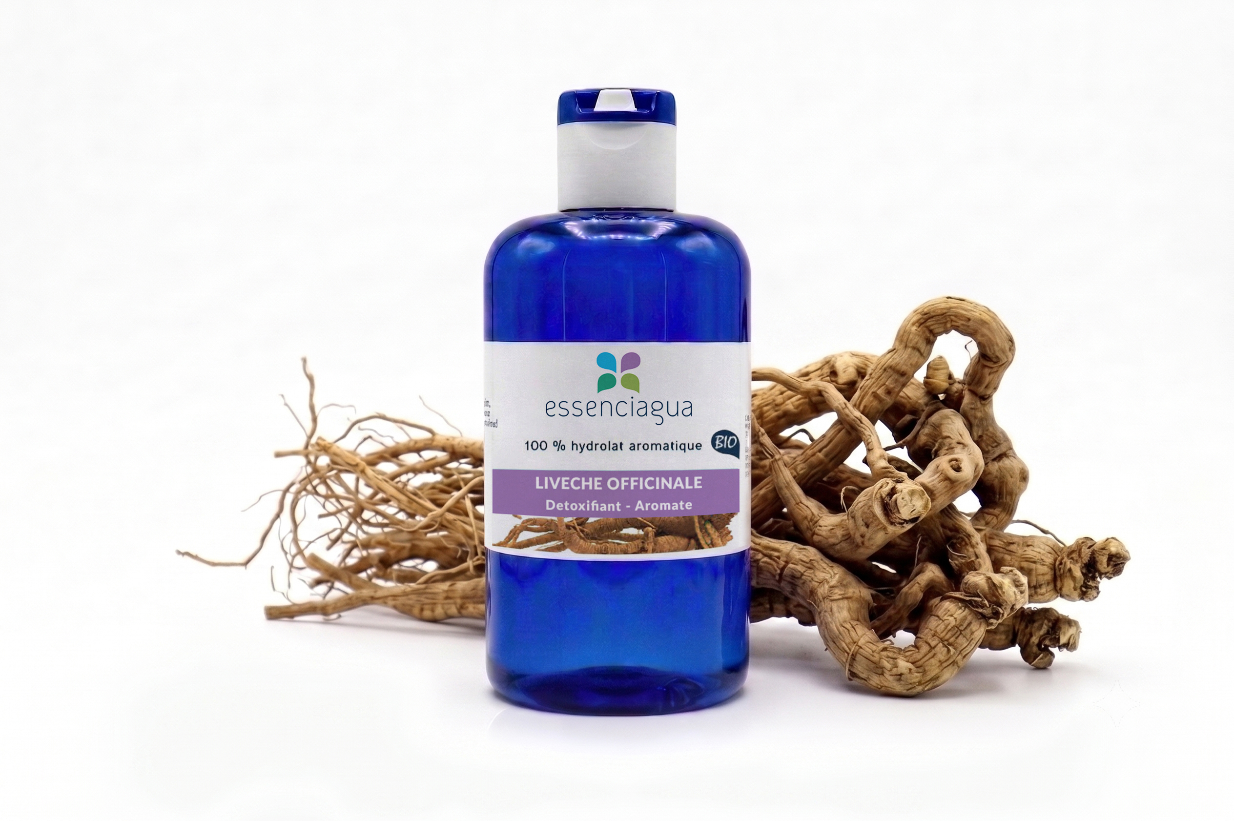 Hydrolat de Livèche (Racine) 100% Bio et Artisanal