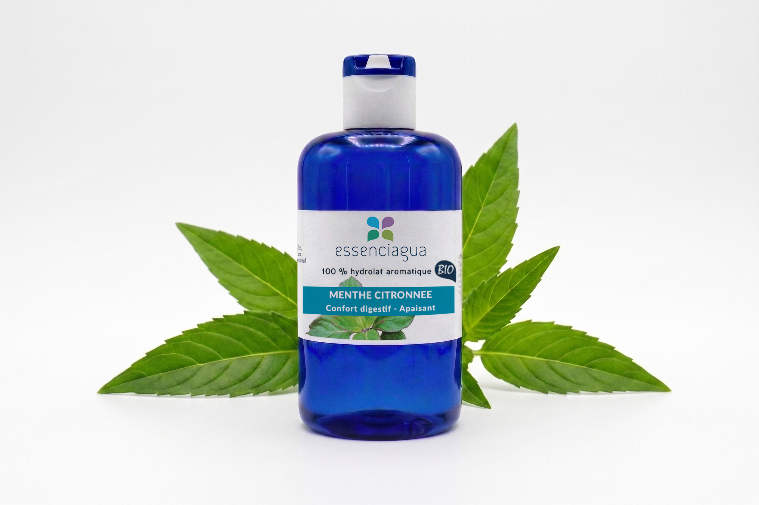 Hydrolat de Menthe citronnée 100% Bio et Artisanal