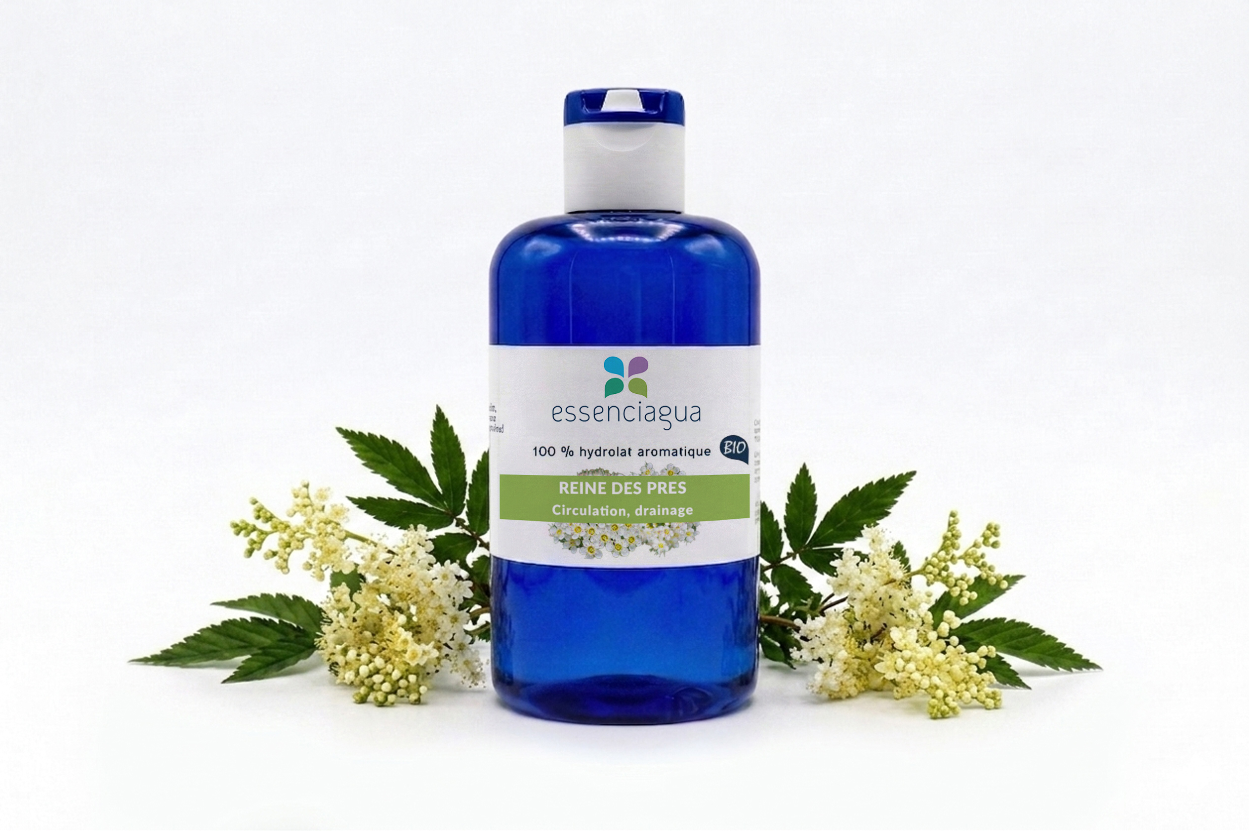 Hydrolat de Reine des prés 100% Bio et Artisanal