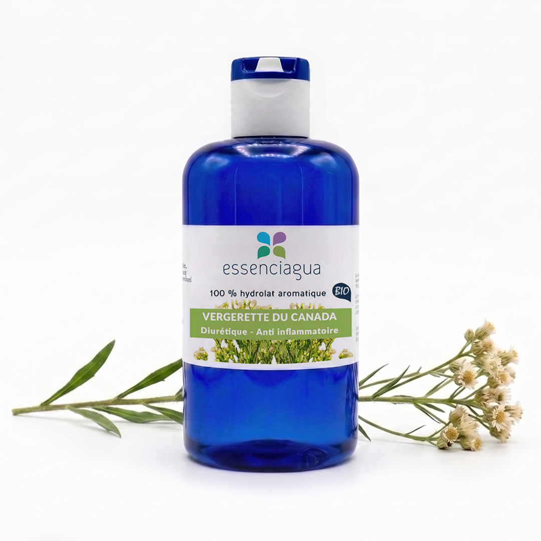 加拿大 Vergerette 的 Hydrolat 100% 有机手工制作