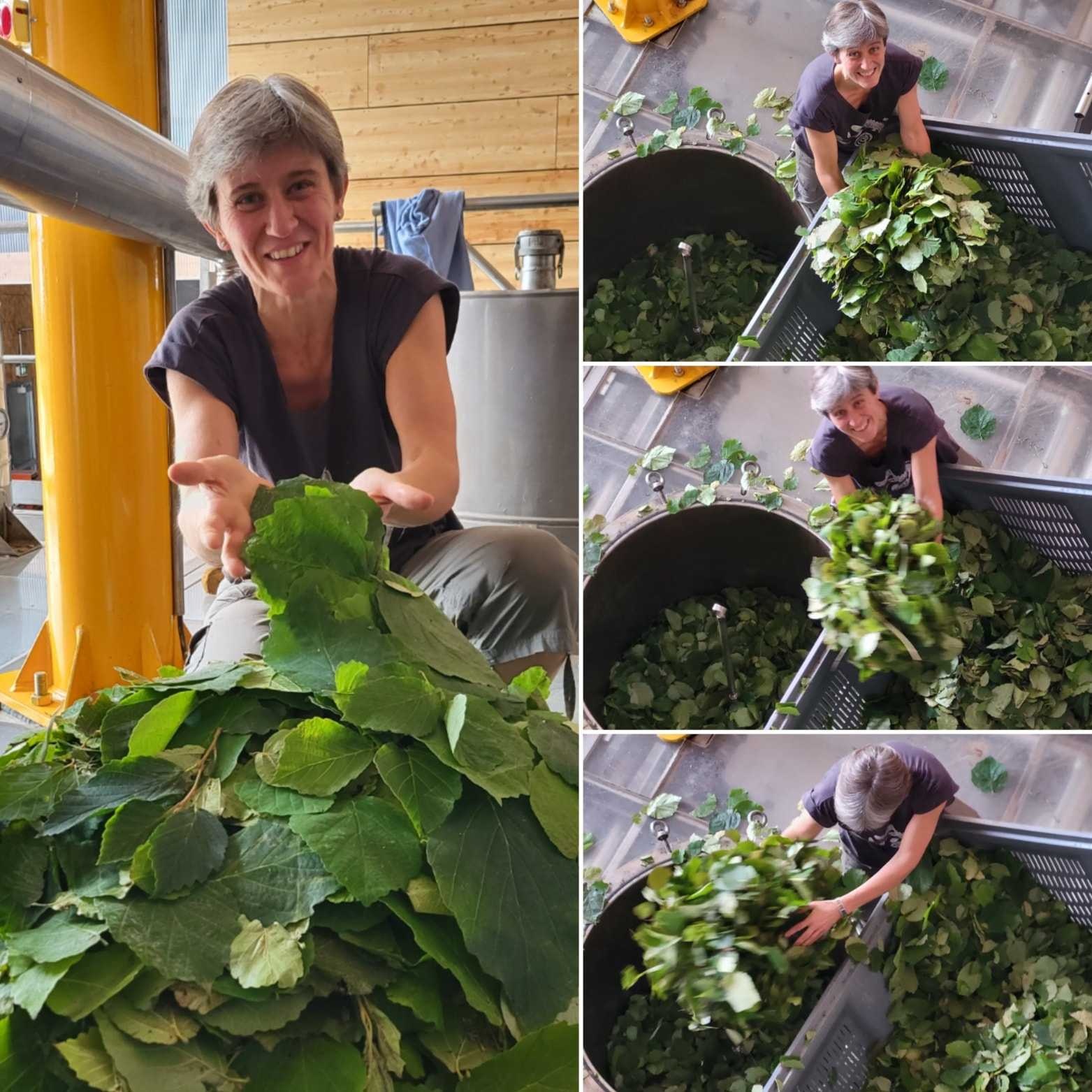 The secrets of an Essenciagua grand cru