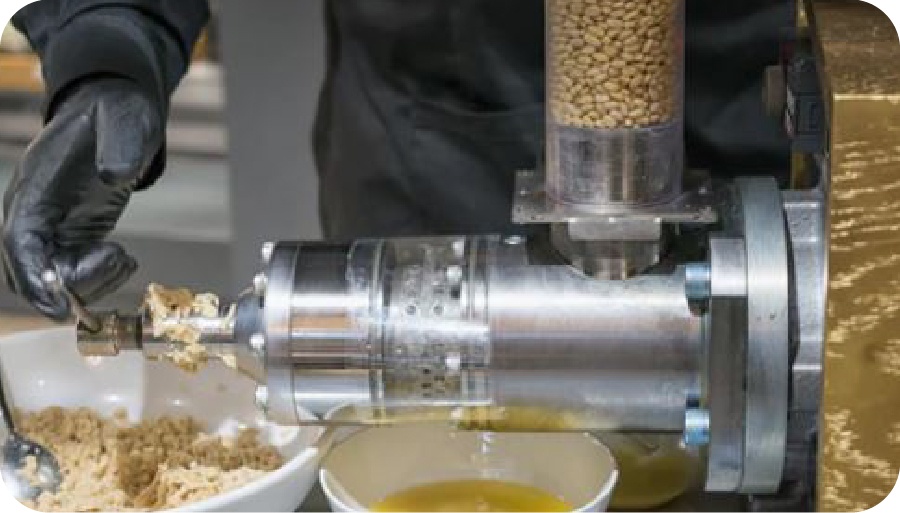 Introduction to Essential Oils