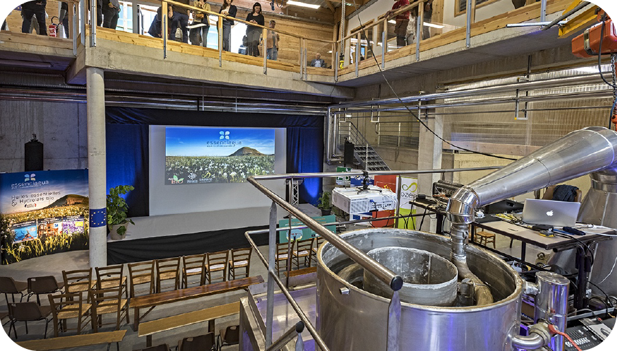 L'Histoire D'Essenciagua